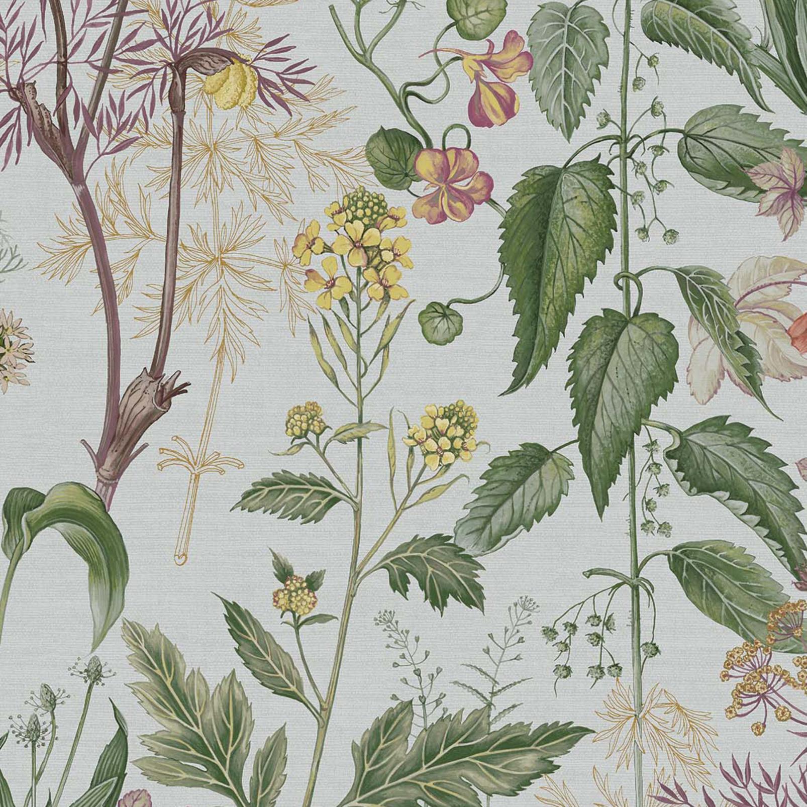 1606x1606 Edulis Sage Wallpaper. Green. Graham & Brown