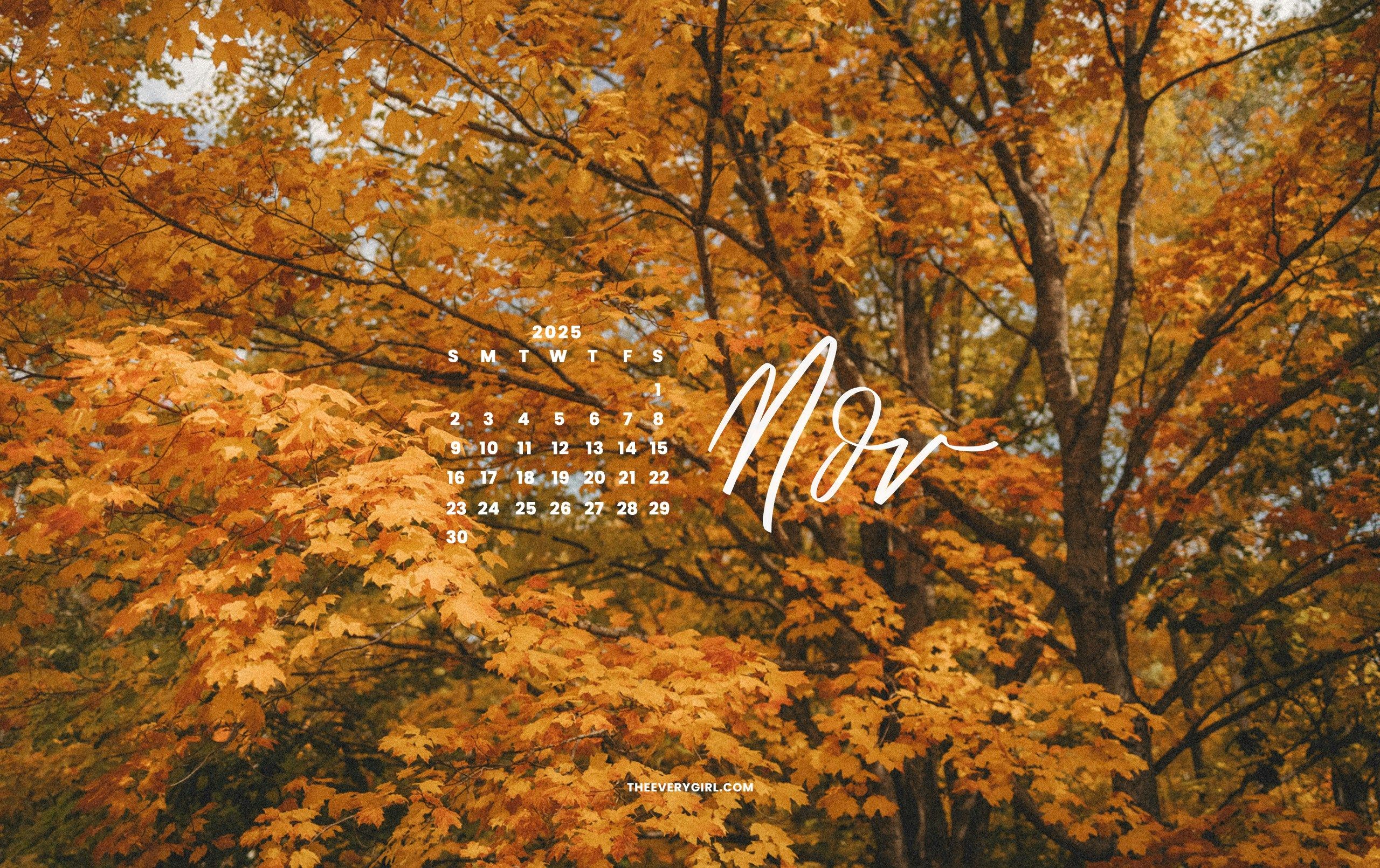 2560x1610 November Tech Background: Stunning Fall Tech Wallpaper