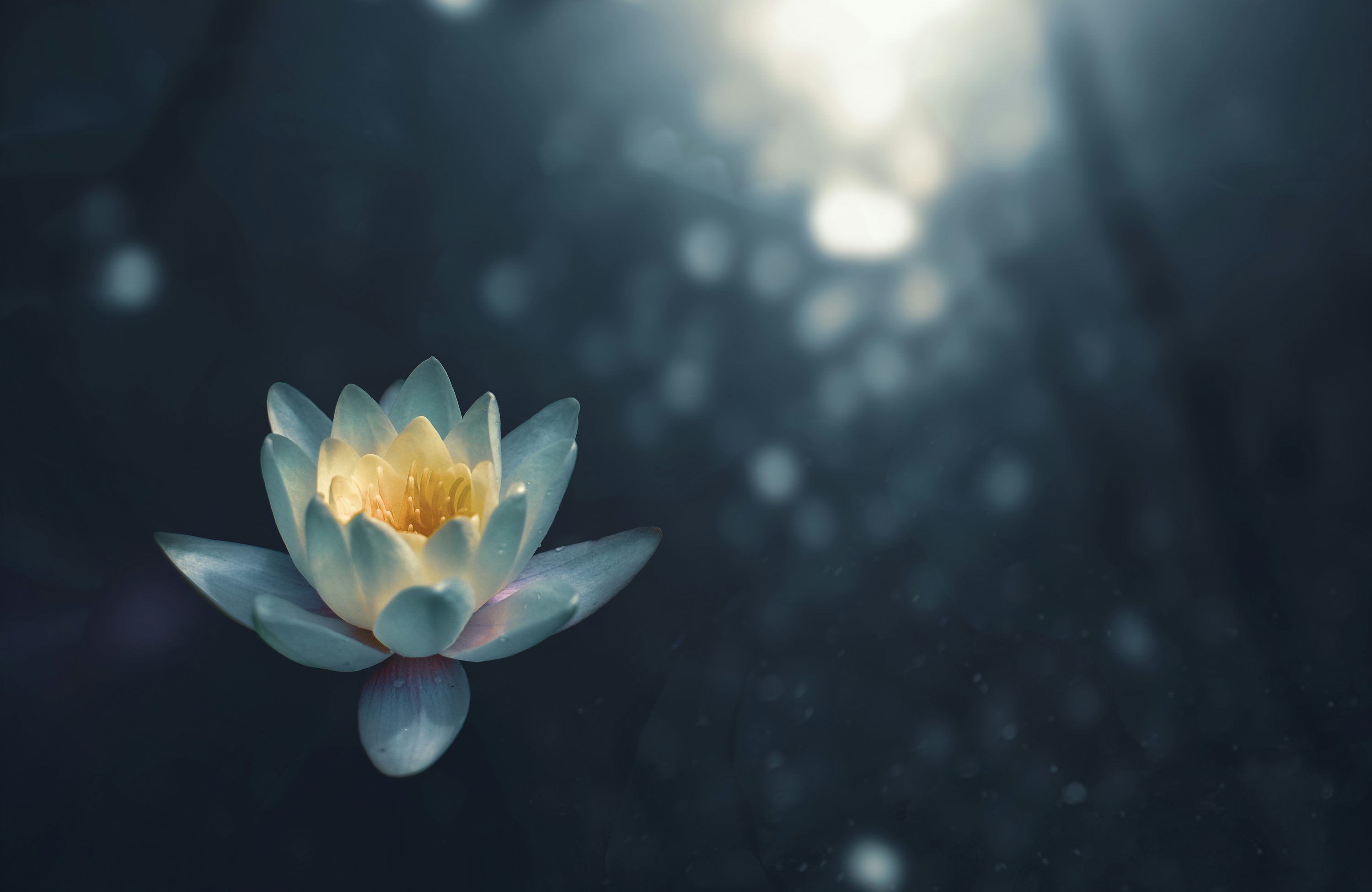 3000x1950 Meditation Picture. Download Free Image