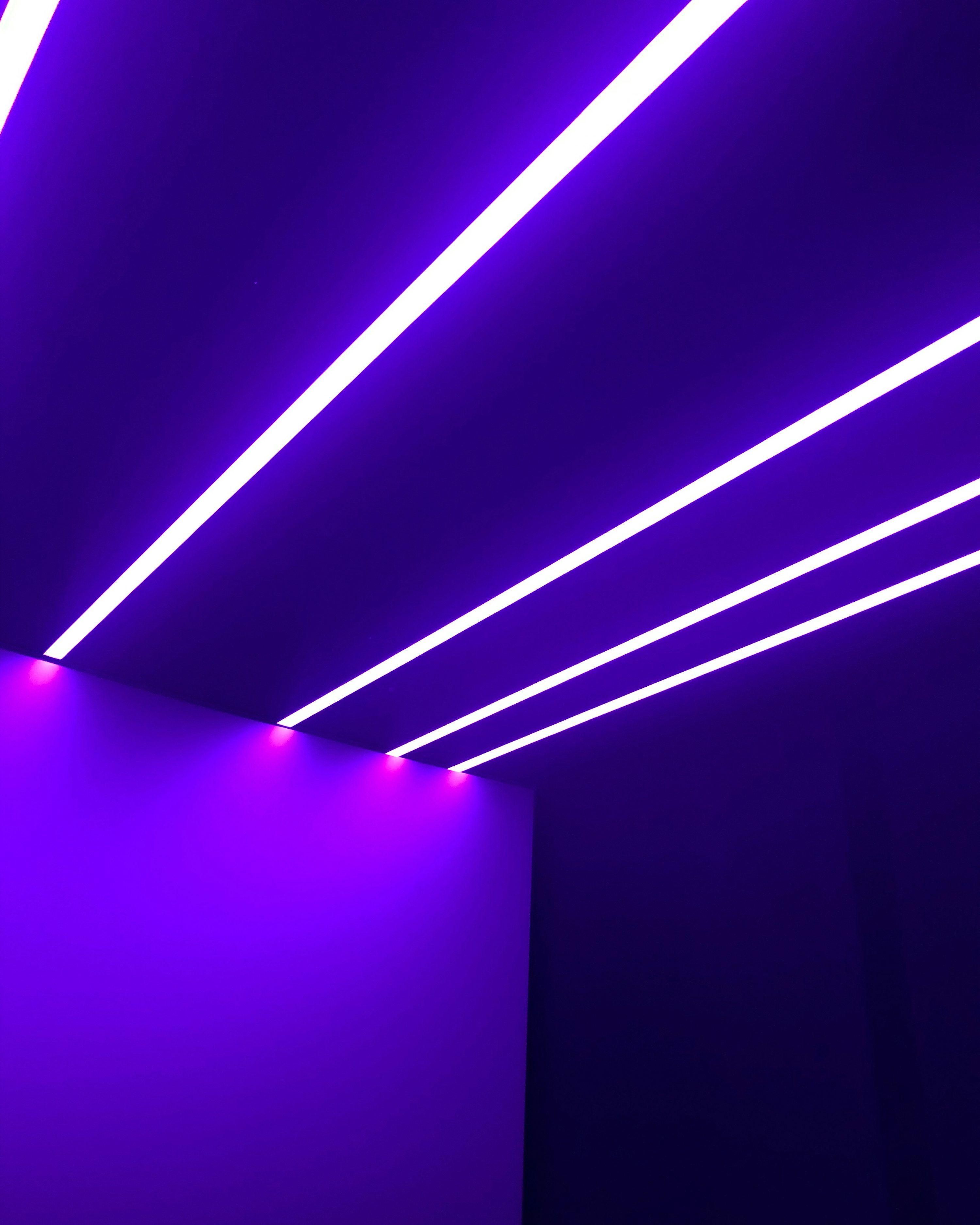 3000x3750 Neon Purple Picture. Download Free Image
