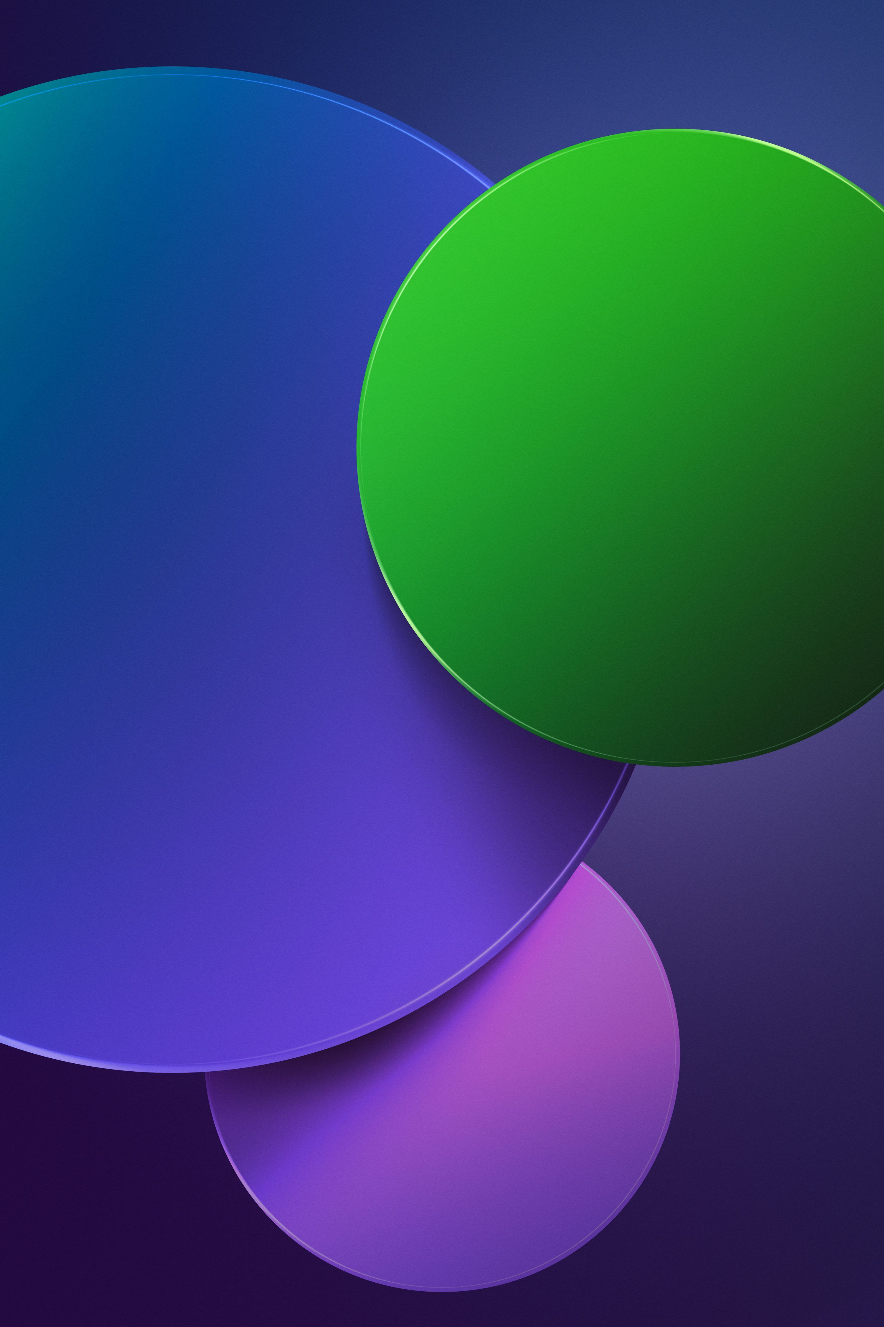 3000x4500 A purple and green background with circles photo