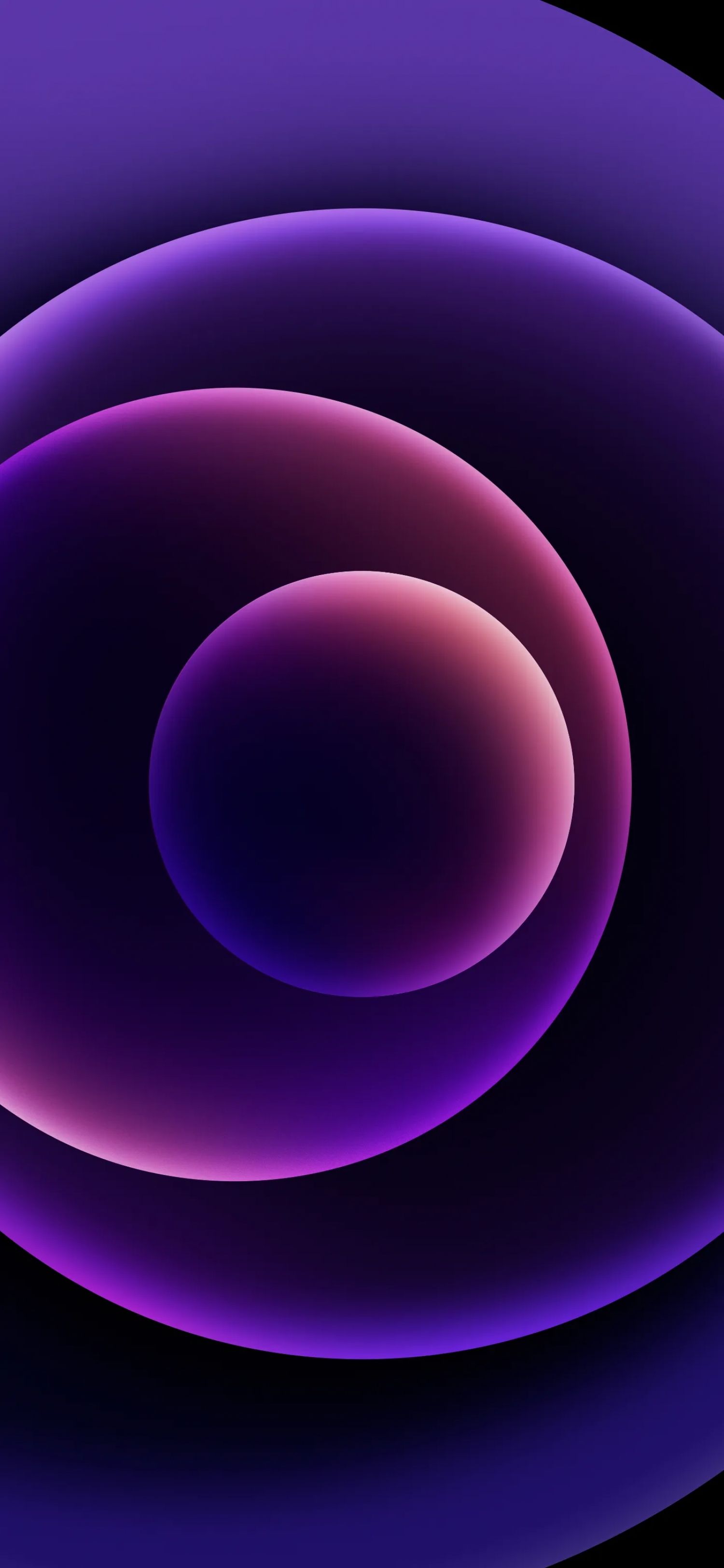 1500x3247 IPhone 14 Purple Stock