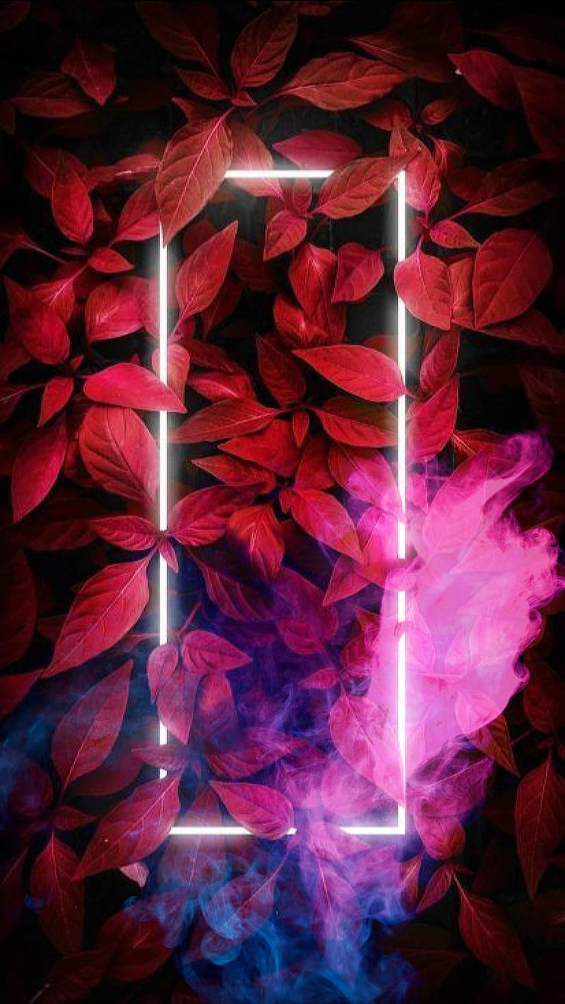 800x1422 Red leaves, dark, light, neon, pink and blue, rectangle, smoke, white neon, HD phone wallpaper