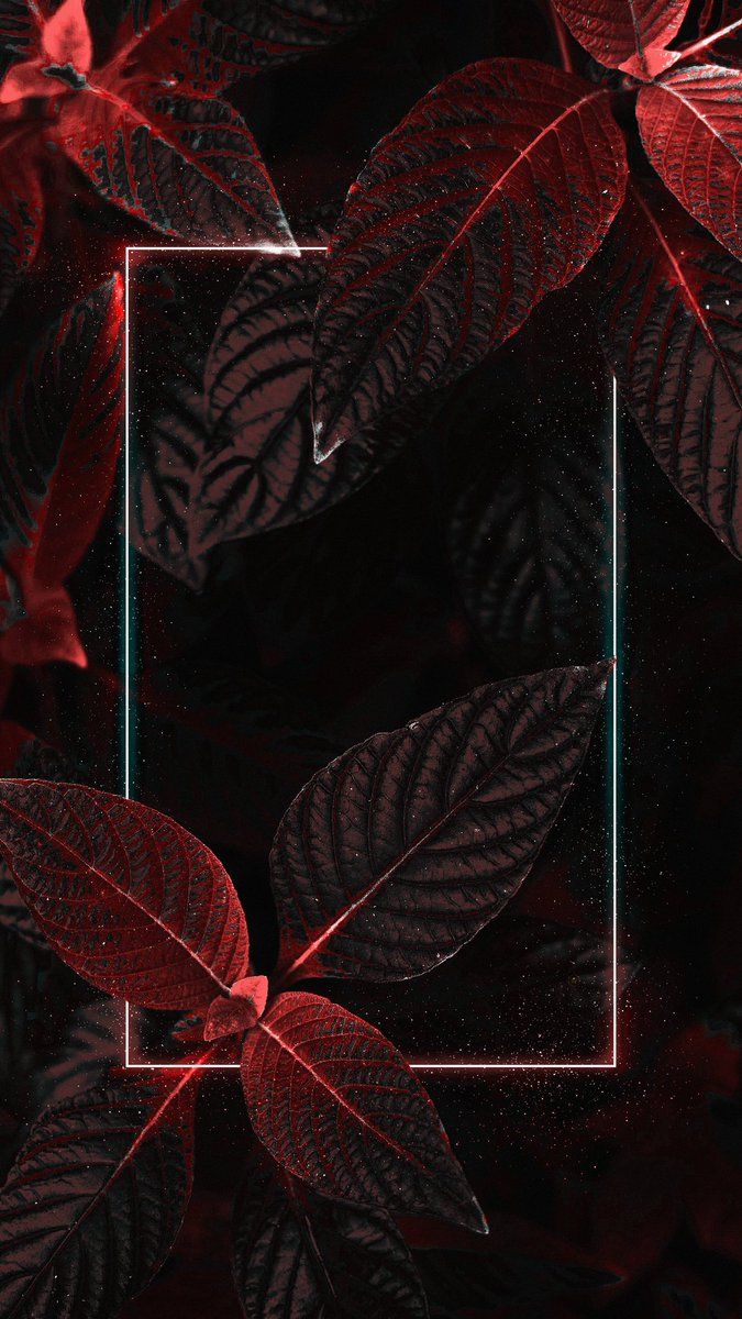 675x1200 4k #wallpaper for your #smartphone #Leaves #Neon #Red