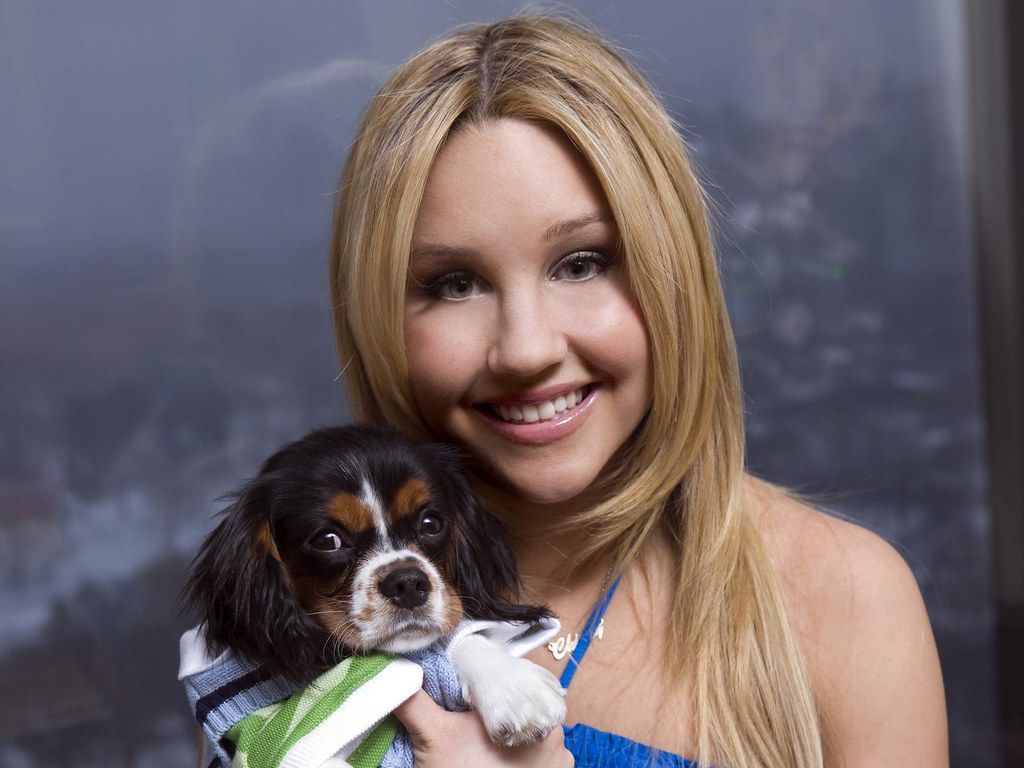 1024x768 Amanda Bynes Wallaper. Check this wallpaper on our site: bi