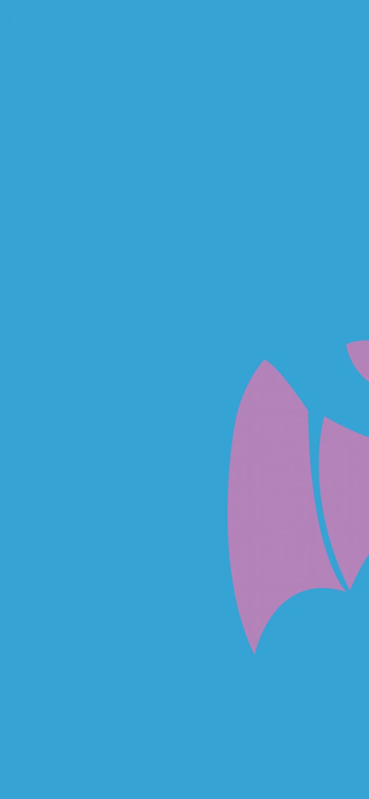 736x1592 Pokémon Zubat and evolutions