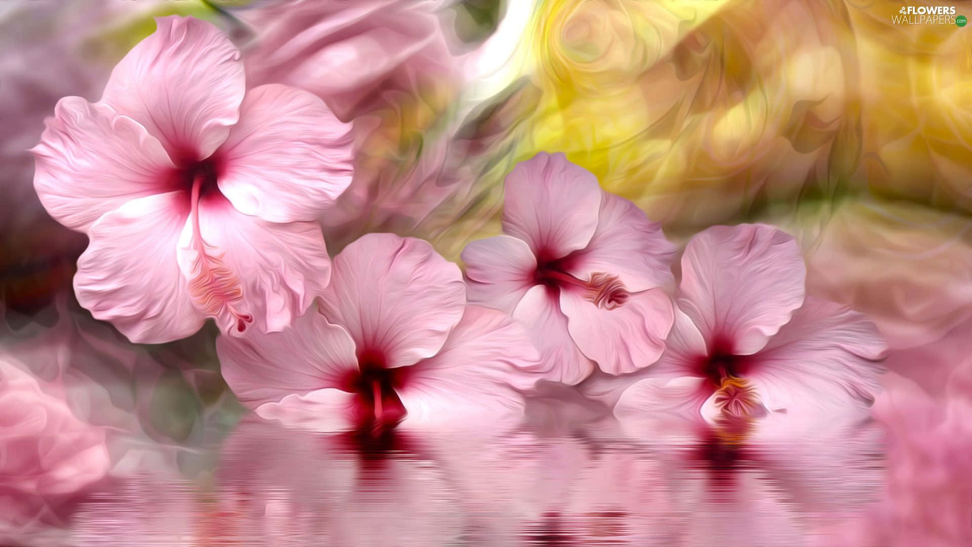 1920x1080 Download Vibrant Pink Hibiscus Beauty of Natural Flora Wallpaper