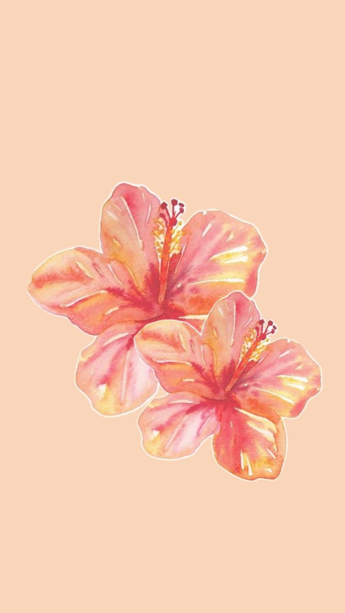 675x1200 Boho Style iPhone Wallpaper with Pink Flowers