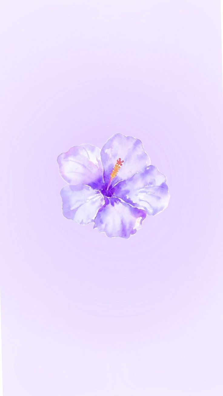 736x1308 purple hibiscus purple aura wallpaper. Papel de pared de color púrpura, Fondos de pantalla de iphone, Póster floral