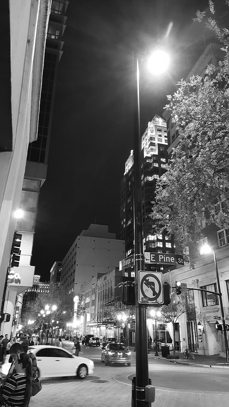 800x1422 City at Night, orlando, city, night, aesthetic, greyscale, urban, dark, edge, HD phone wallpaper