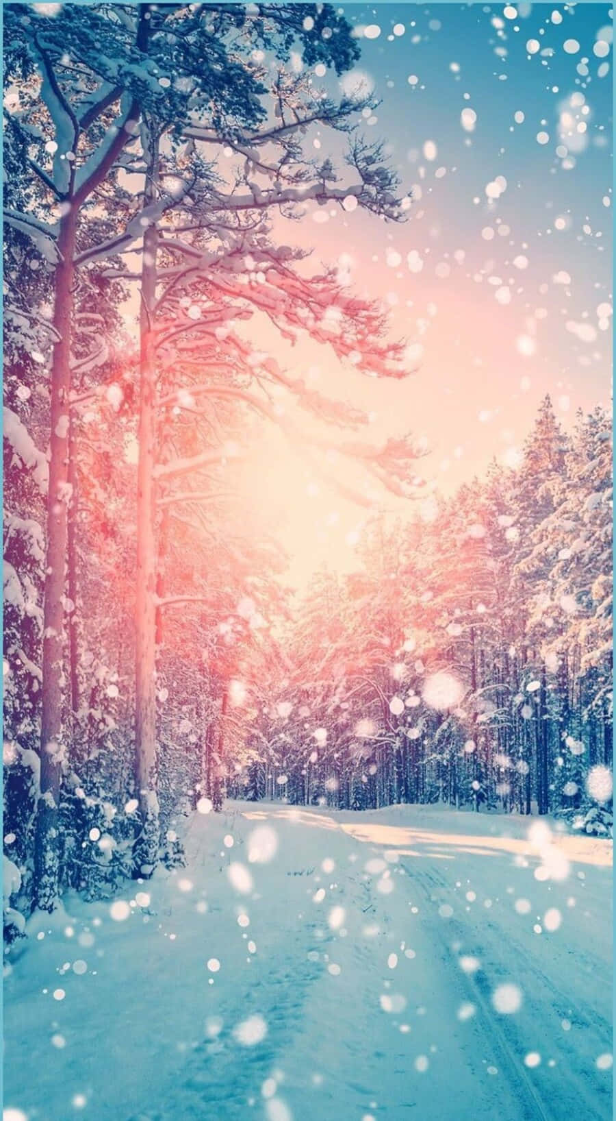 900x1636 Cute Winter Aesthetic Wallpaper