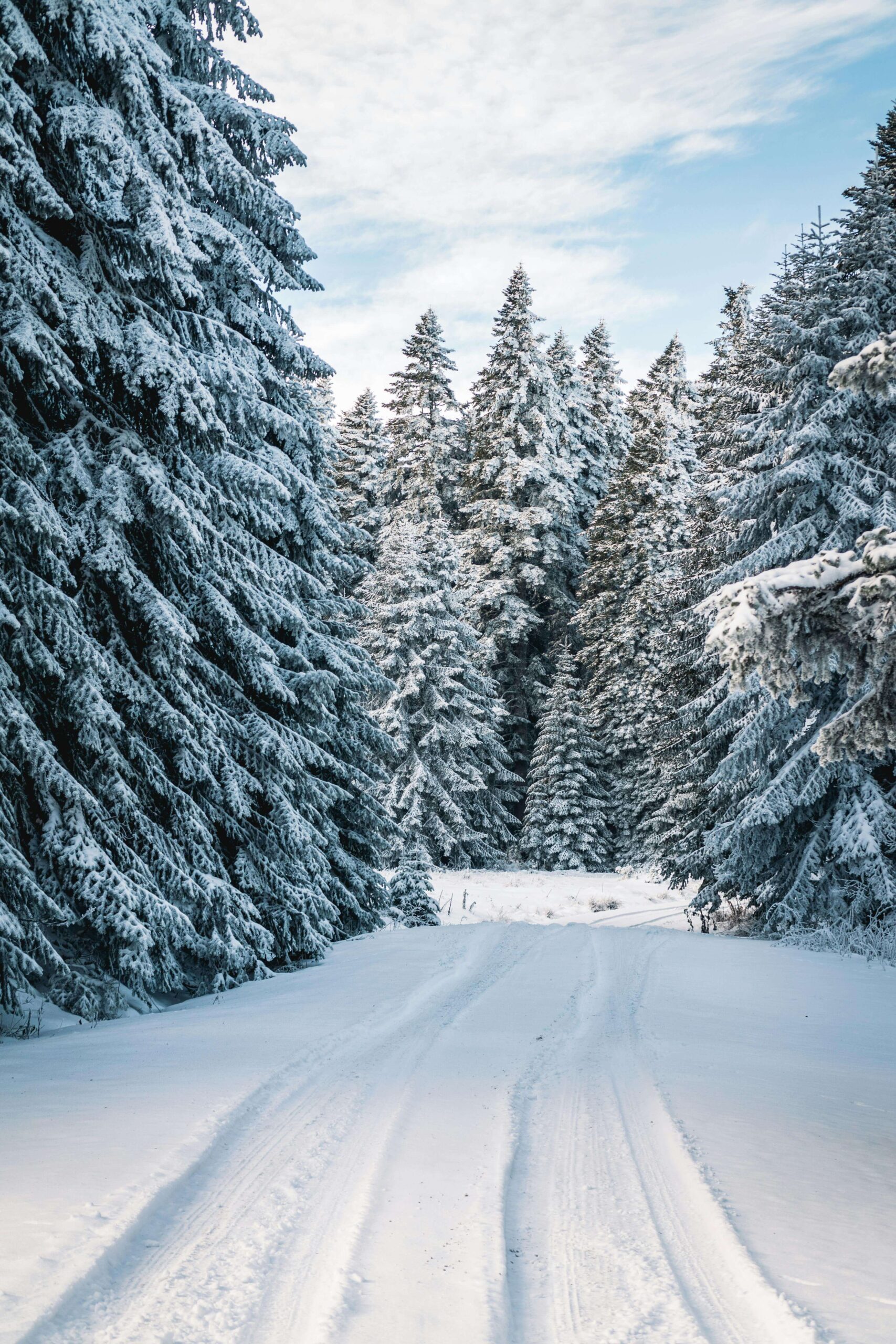 1707x2560 Winter Wallpaper iPhone Ideas + Aesthetic Winter Background for Your Screen