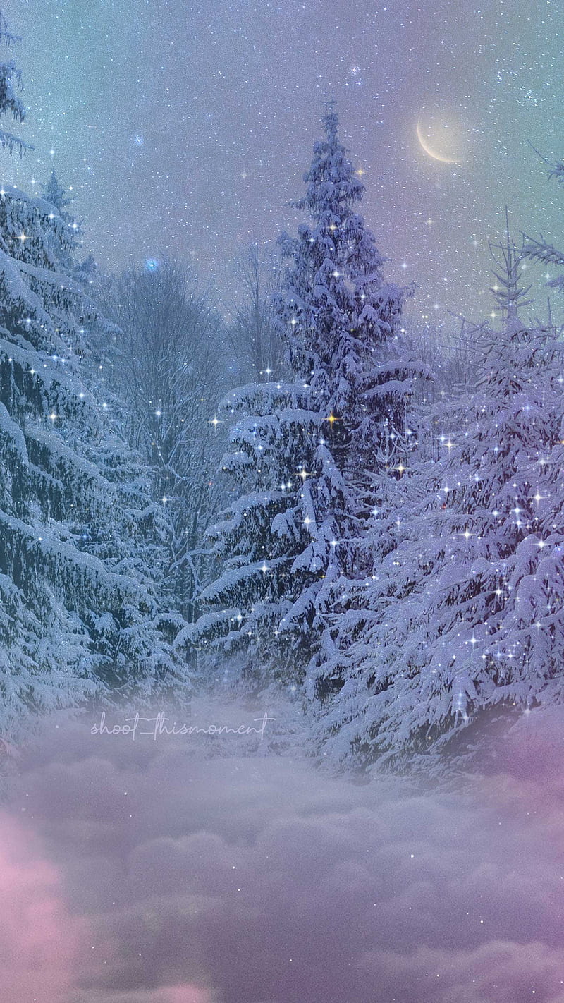 800x1422 Winter nights, aesthetics, christmas, dreamy, moon, northernlights, pines, snow, HD phone wallpaper
