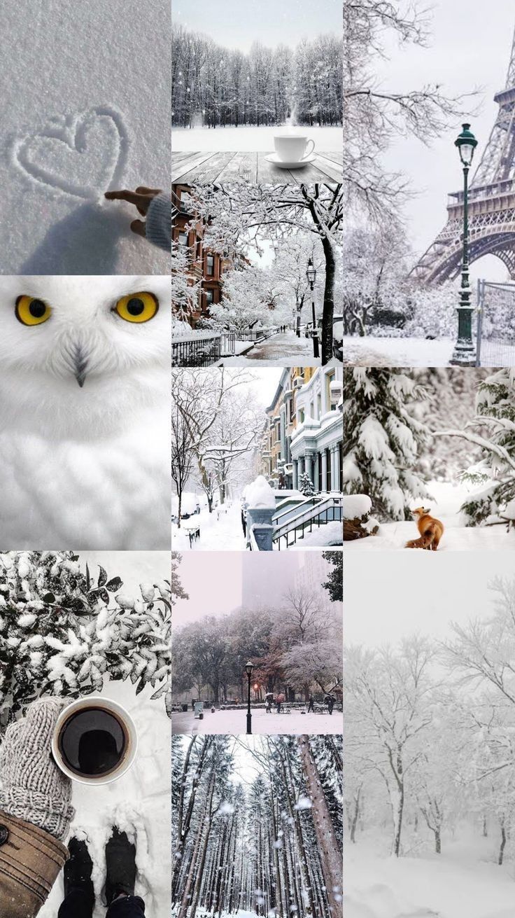 736x1311 Aesthetic Winter Wallpaper