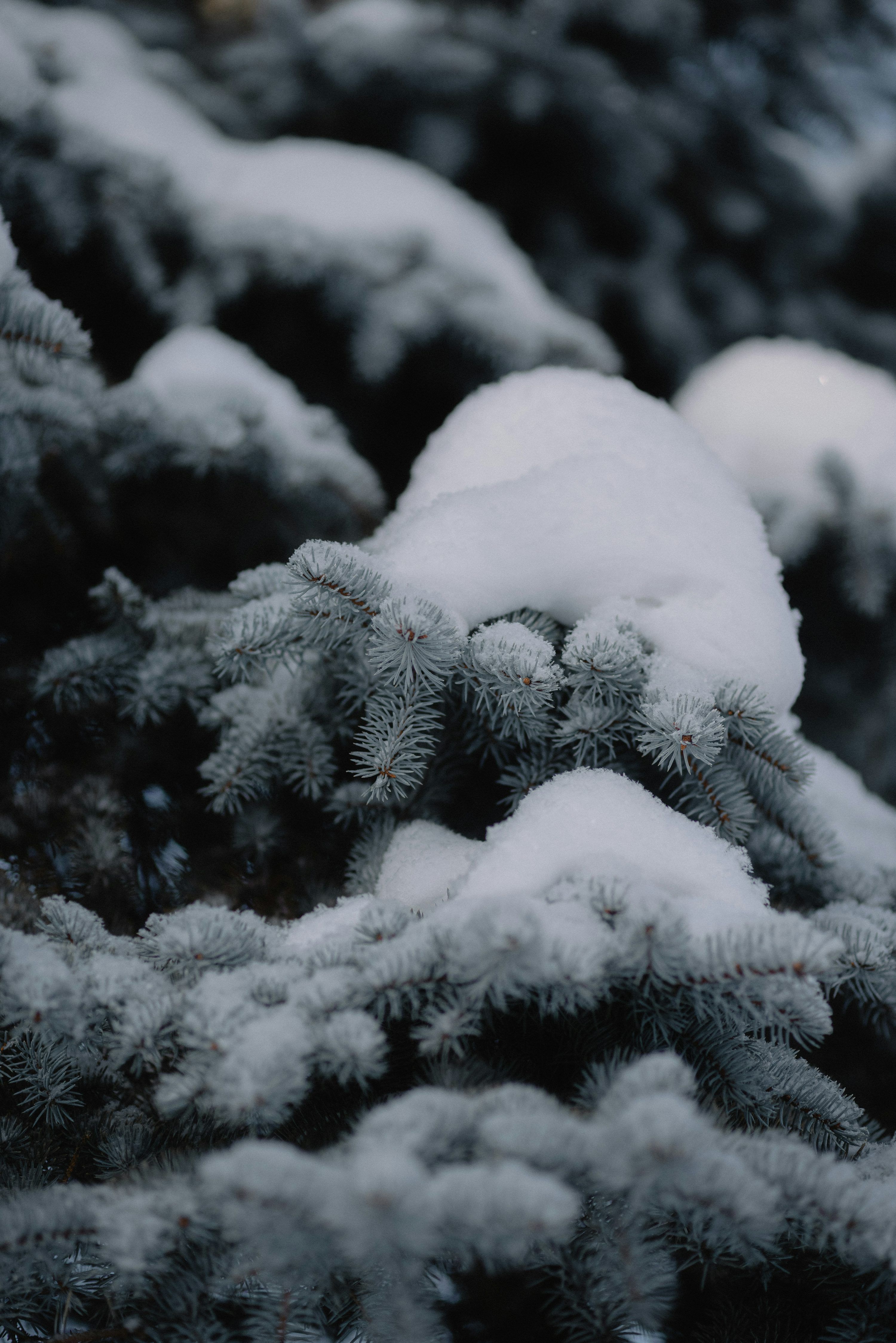 3000x4494 Winter Aesthetic Picture. Download Free Image