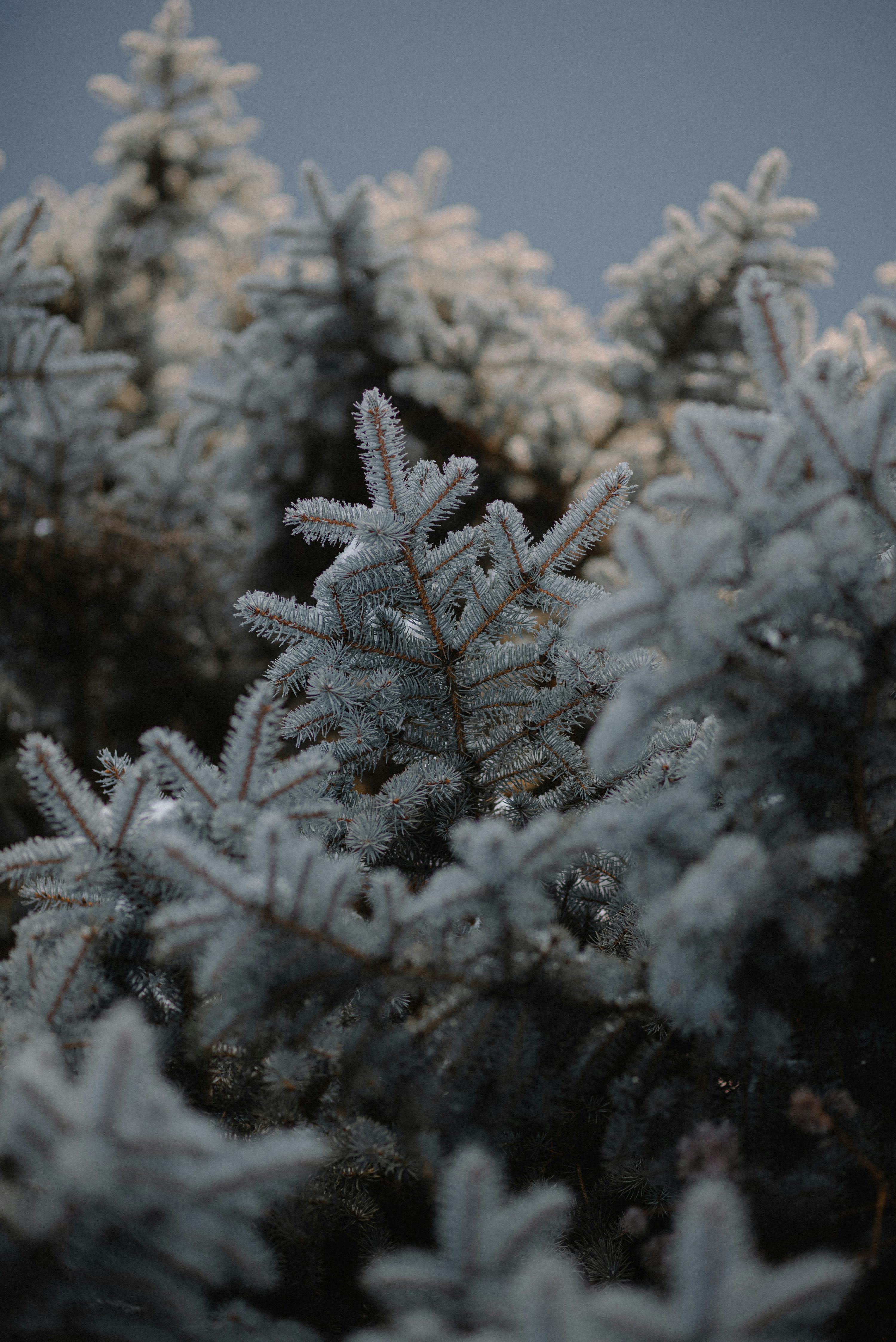 Winter Aesthetics Wallpapers - Top Free Winter Aesthetics Backgrounds