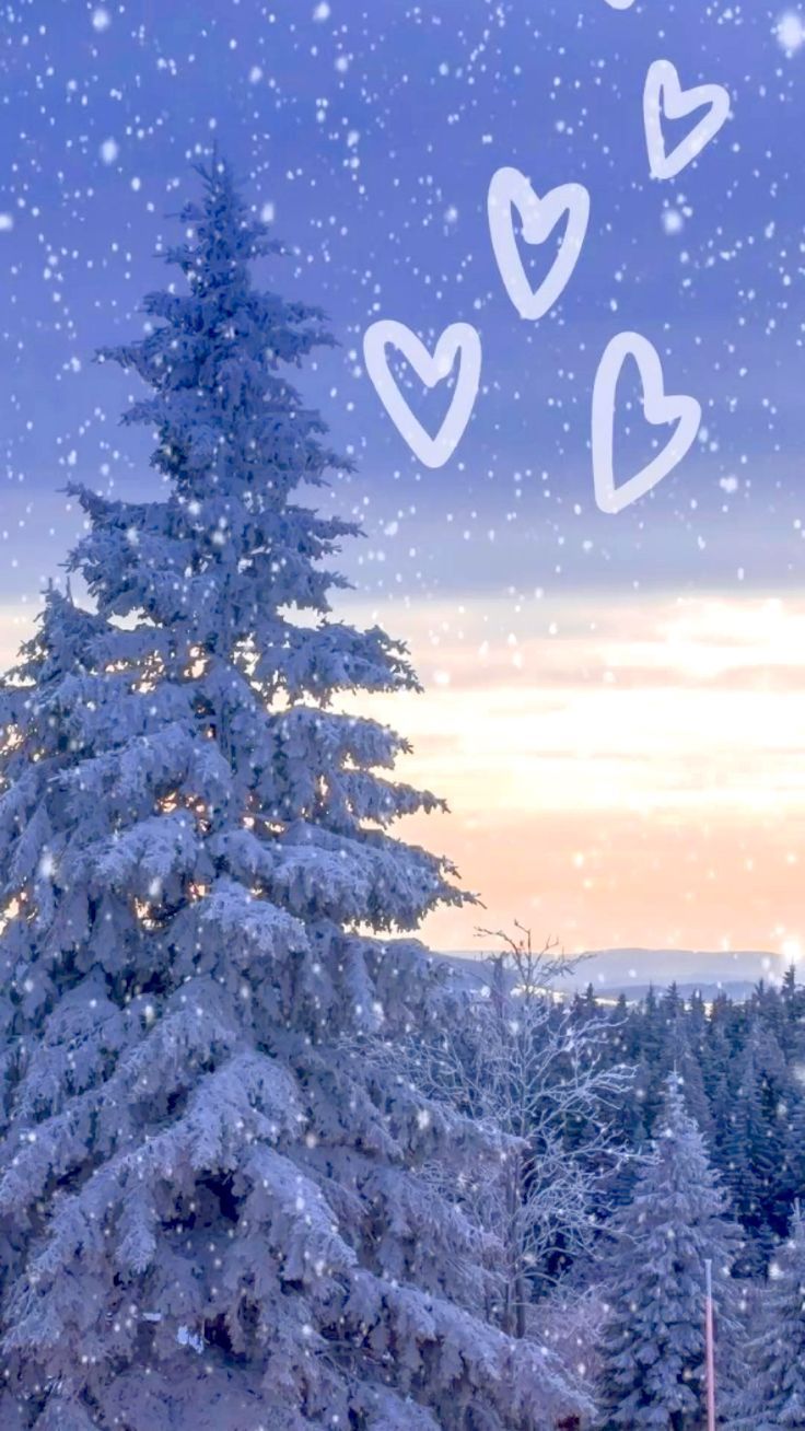 736x1308 Winter Aesthetic Cute Wallpaper