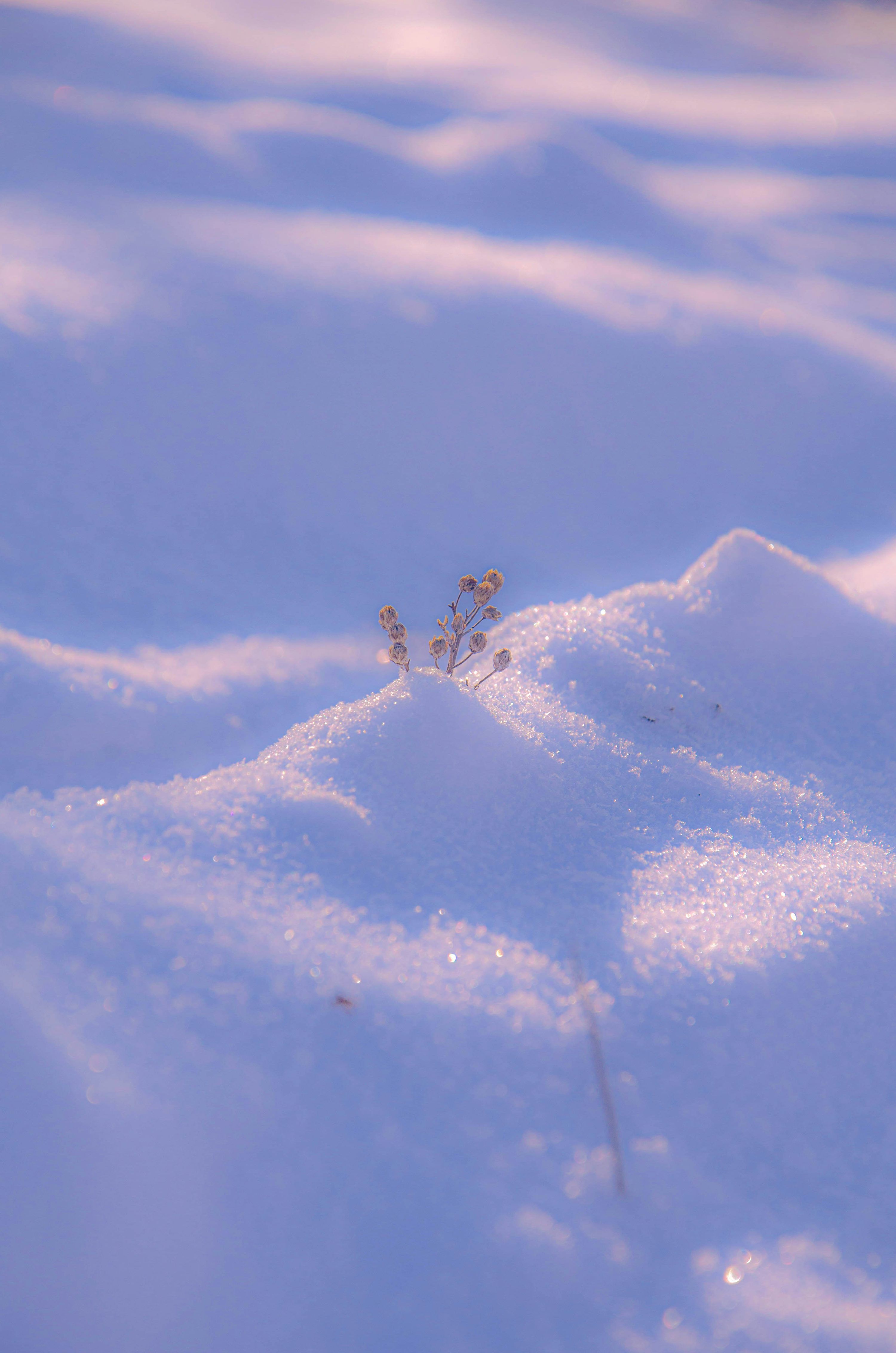 Winter Aesthetics Wallpapers - Top Free Winter Aesthetics Backgrounds