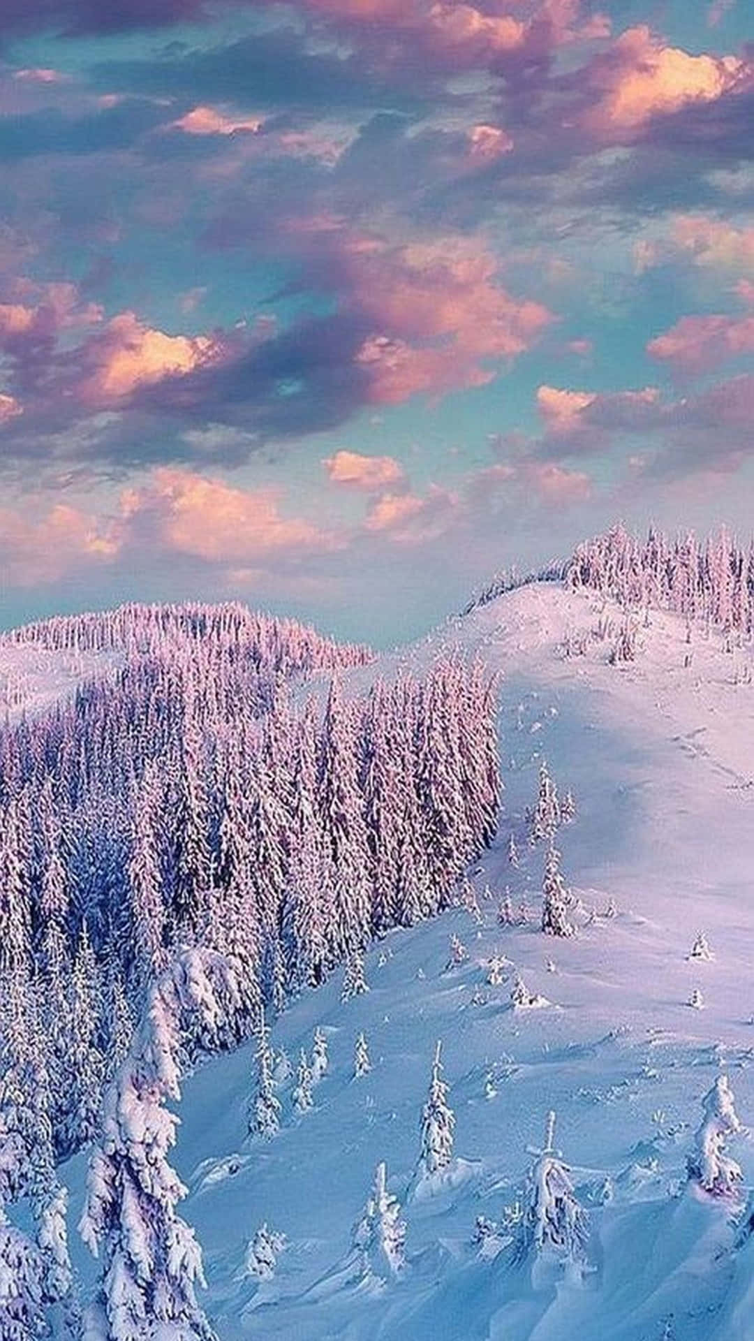 1080x1920 Download Enjoying the beauty of winter. Wallpaper