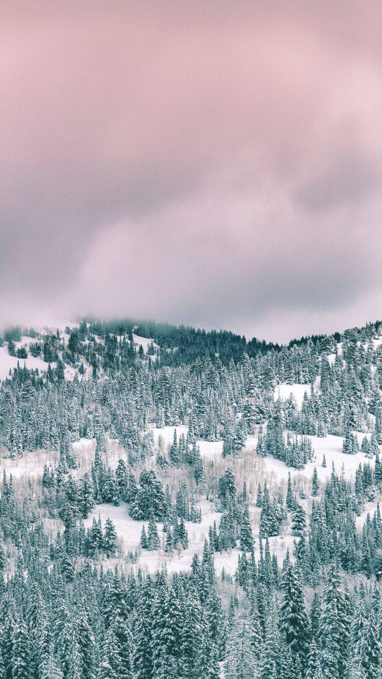 780x1387 Gorgeous Free Winter Wallpaper For IPhone Background