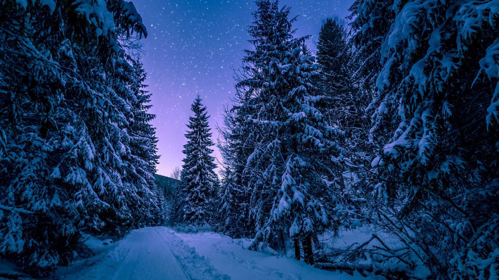 1920x1080 Download Winter Aesthetic At Night Wallpaper