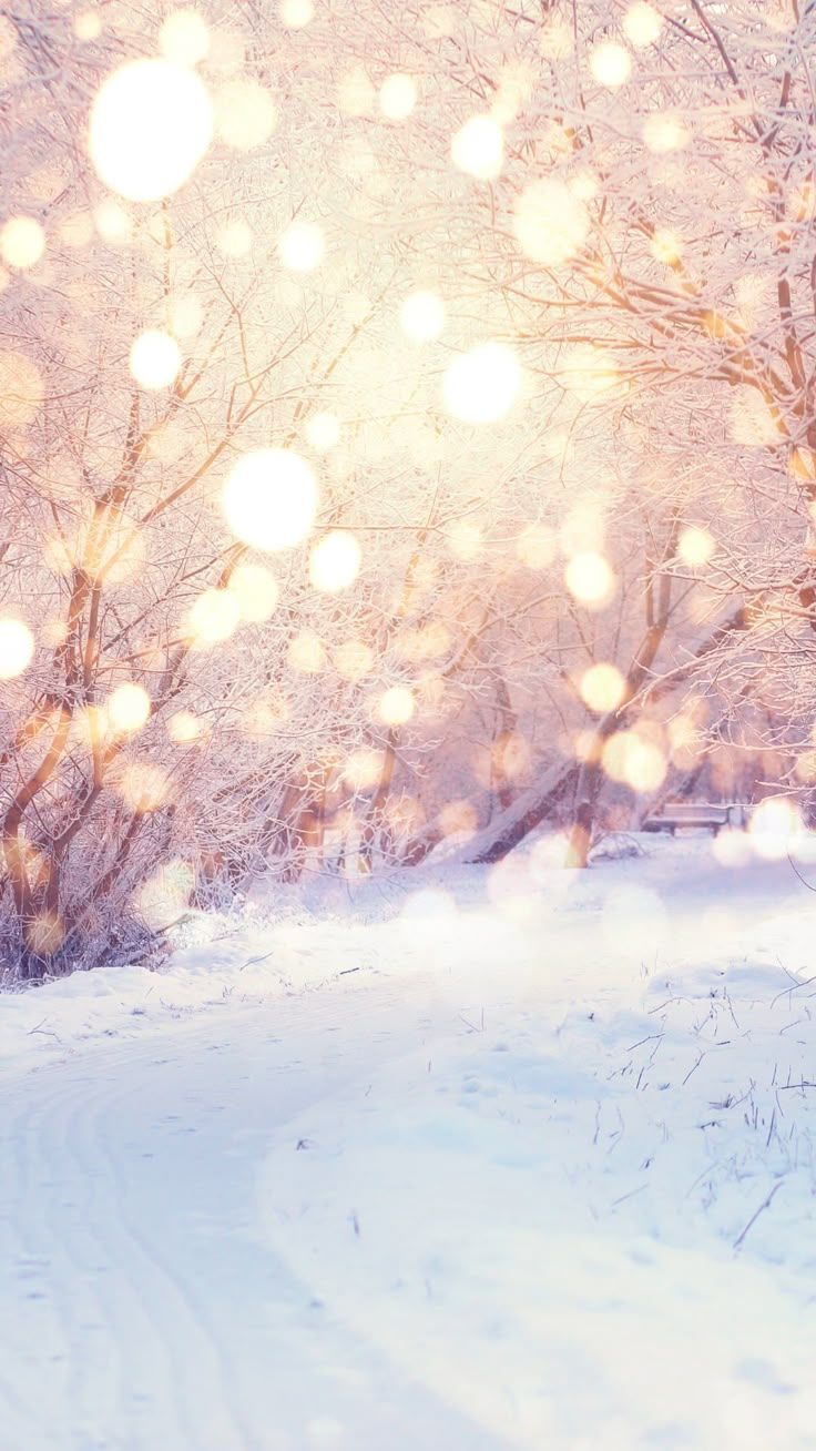736x1308 FREE Aesthetic Winter Wallpaper Background. Cute Winter Wallpaper. Just Jes Lyn