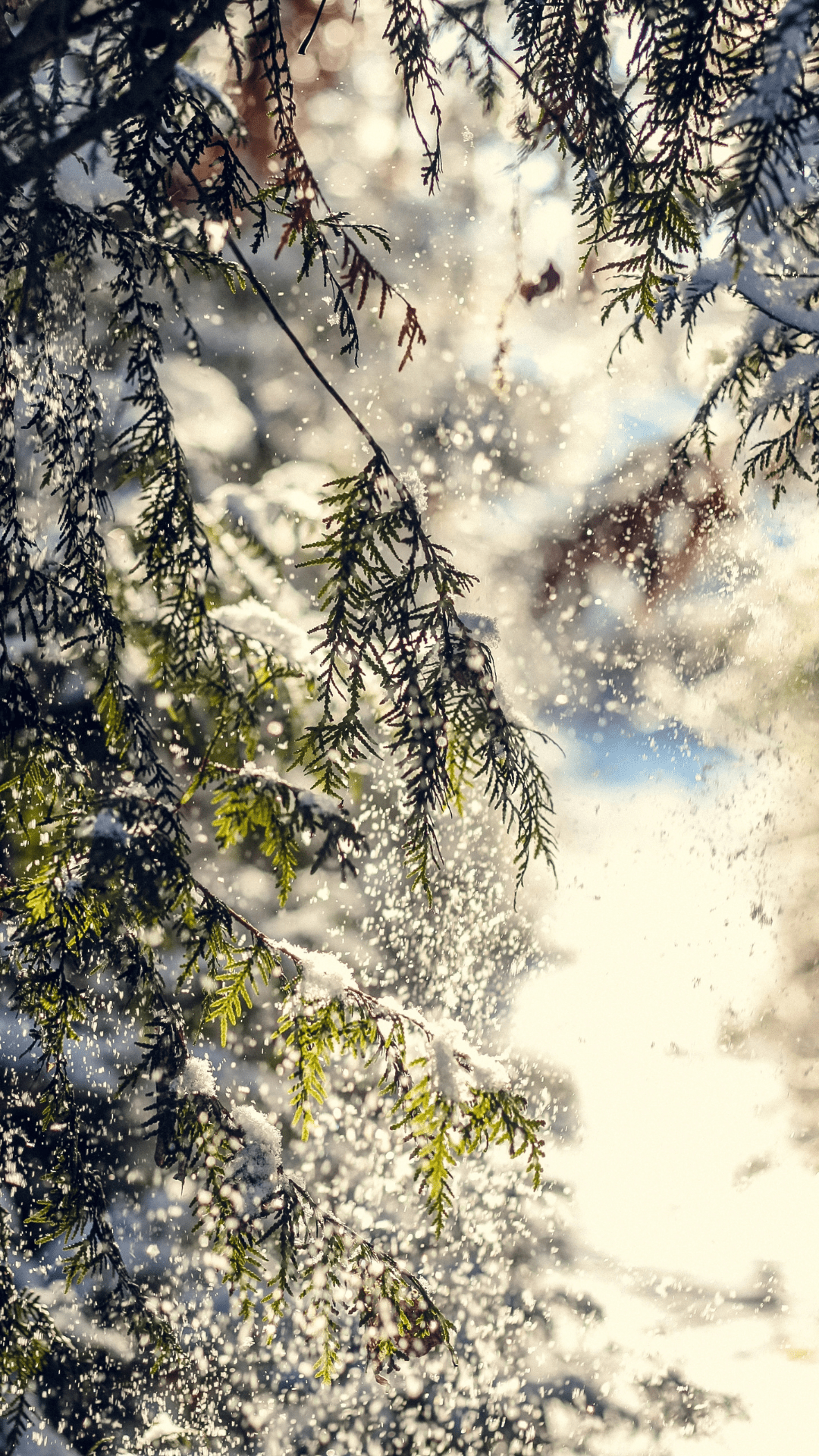 1080x1920 FREE Winter iPhone Wallpaper (Cozy & Aesthetic)