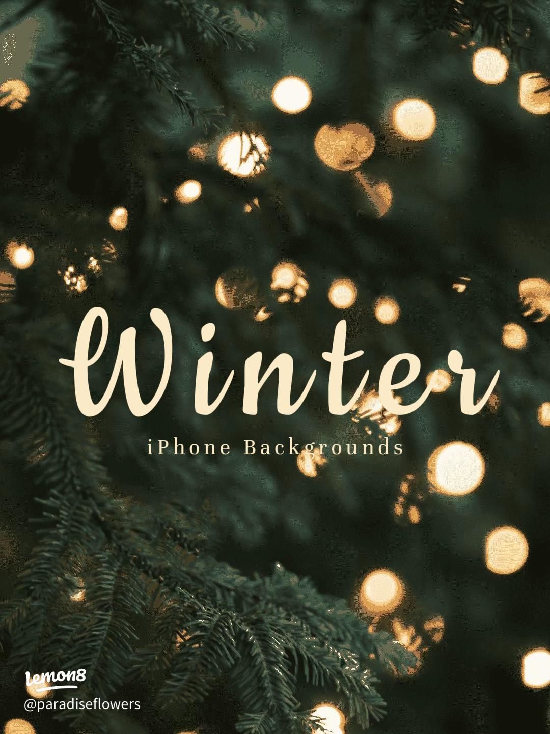1080x1442 Aesthetic Winter iPhone Background: Cozy Seasonal Themes