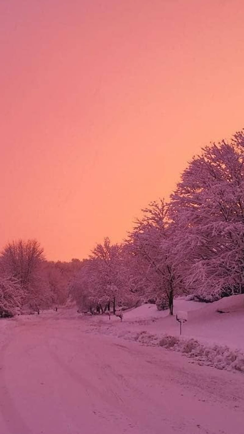 800x1422 HD snowy aesthetic wallpaper