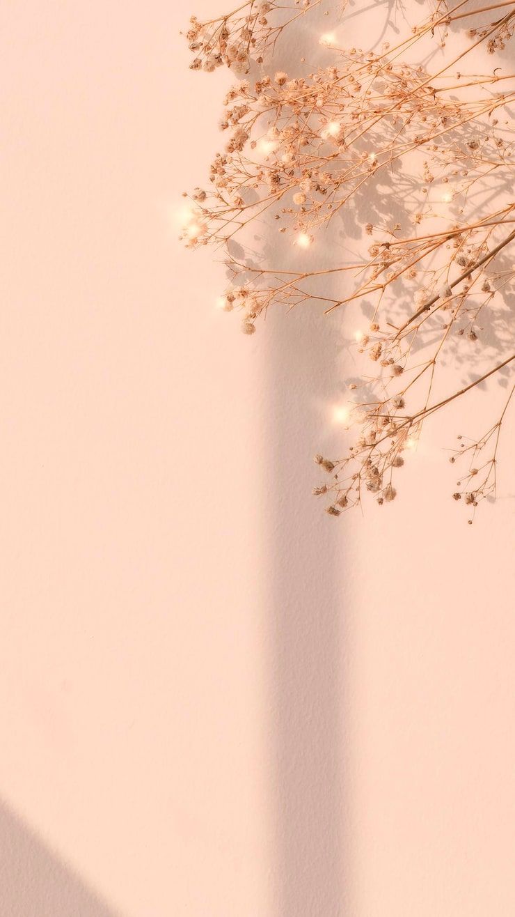 740x1316 Aesthetic light Image