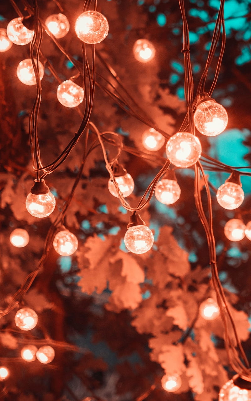 800x1280 Aesthetic Lights, aesthetic, cute, lights, HD phone wallpaper