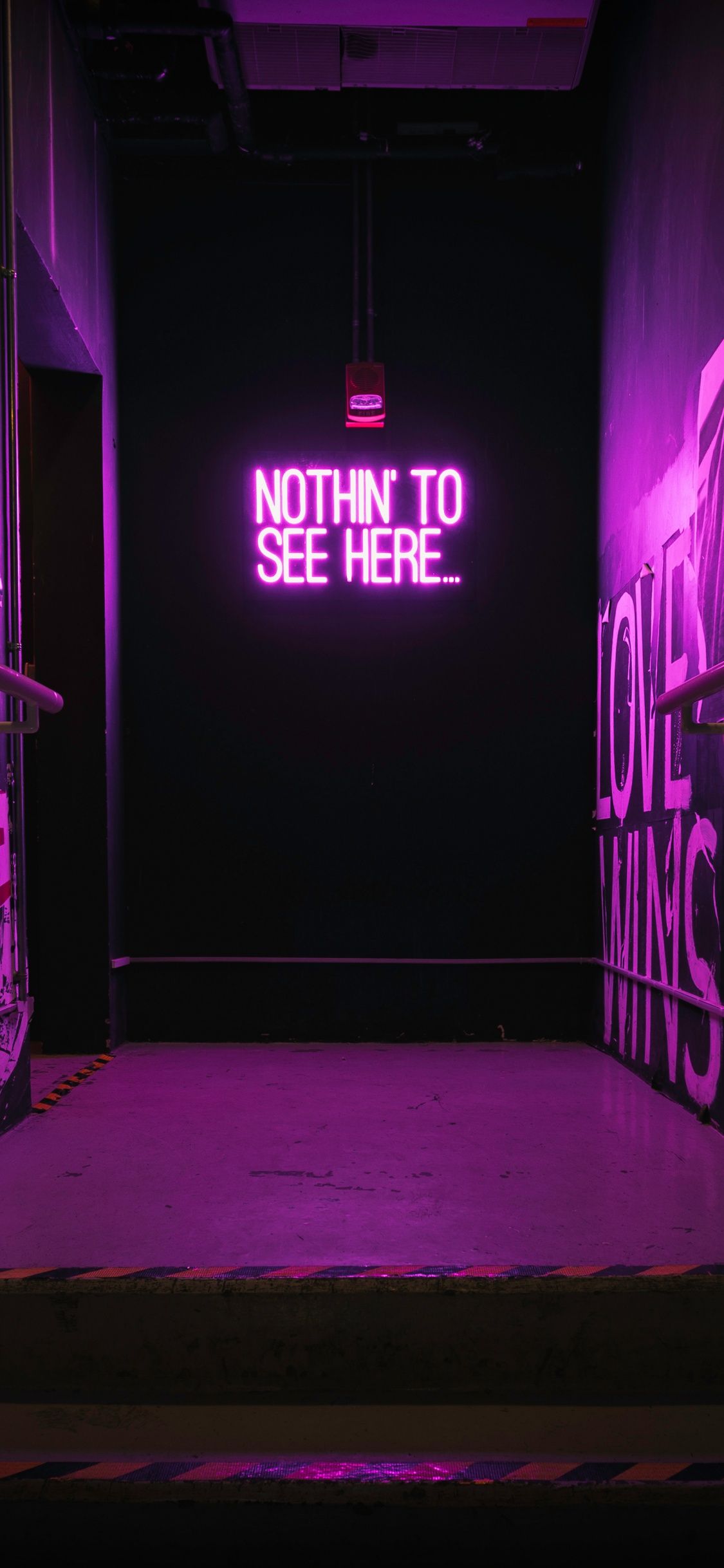 1125x2436 Nothing to See Here Wallpaper 4K, Purple aesthetic, Neon sign