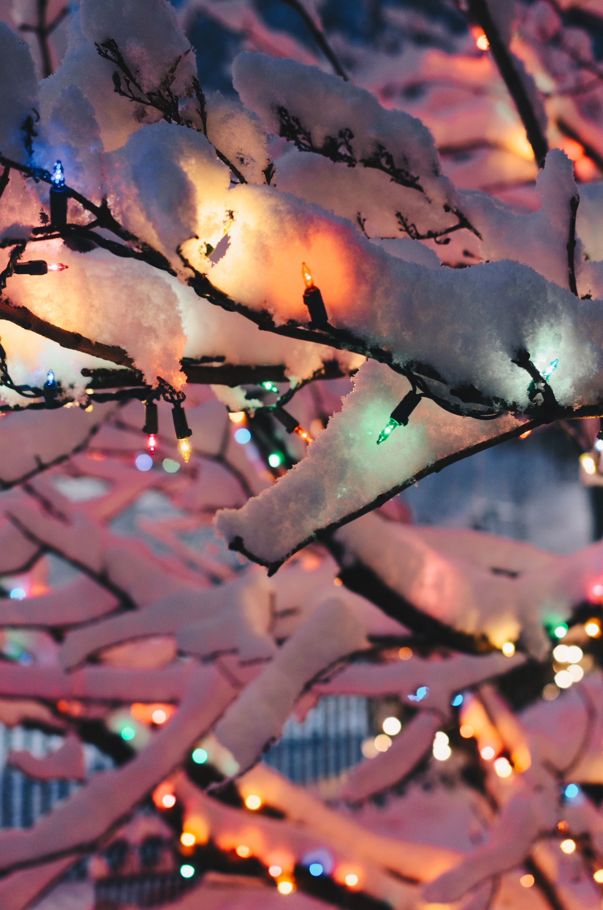 1987x3000 Aesthetic Winter Lights Wallpaper