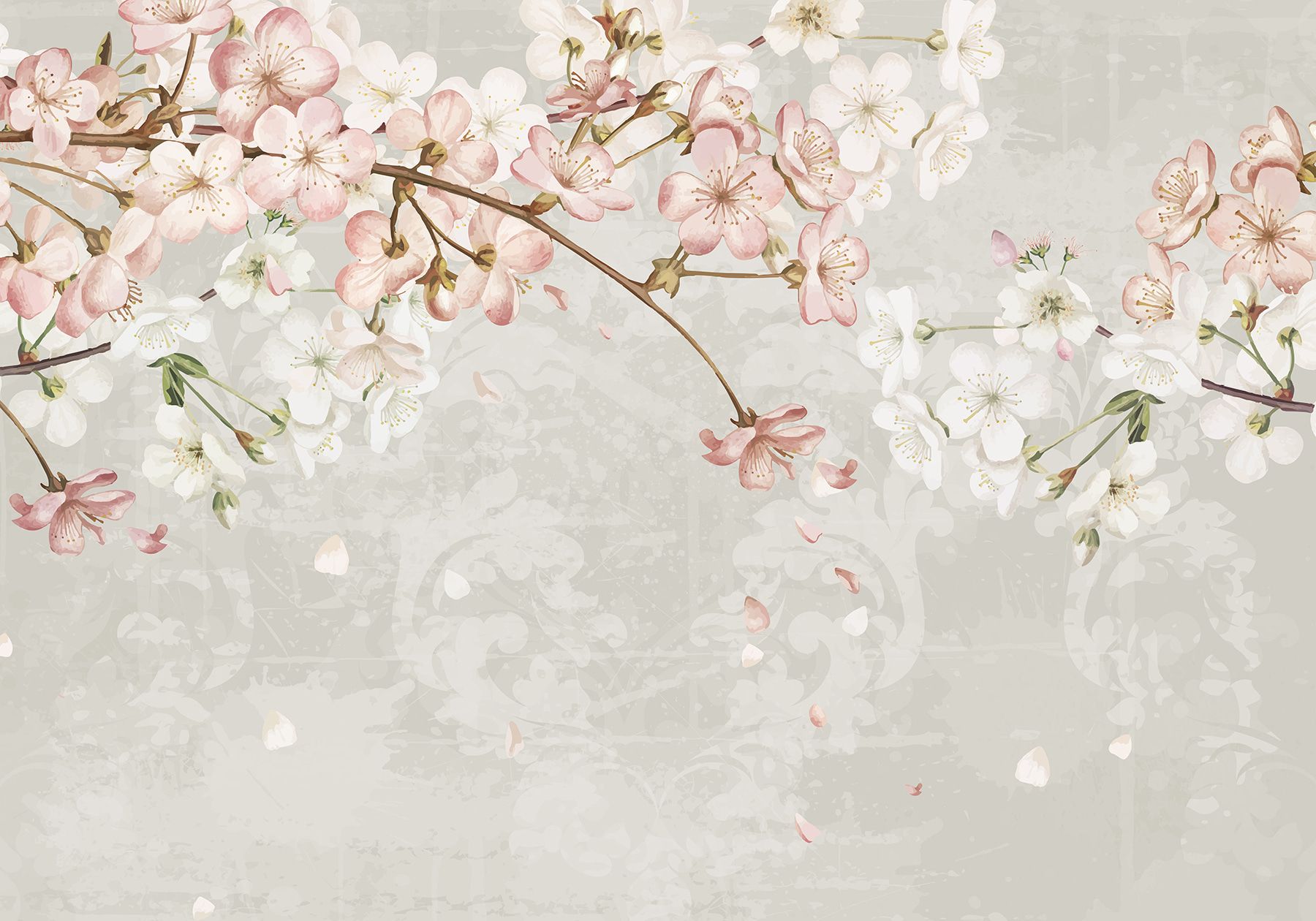 1800x1260 Wall Mural Photo Wallpaper Pink and white cherry blossom flowers in full bloom, with soft petals falling against a textured beige background w08254v1