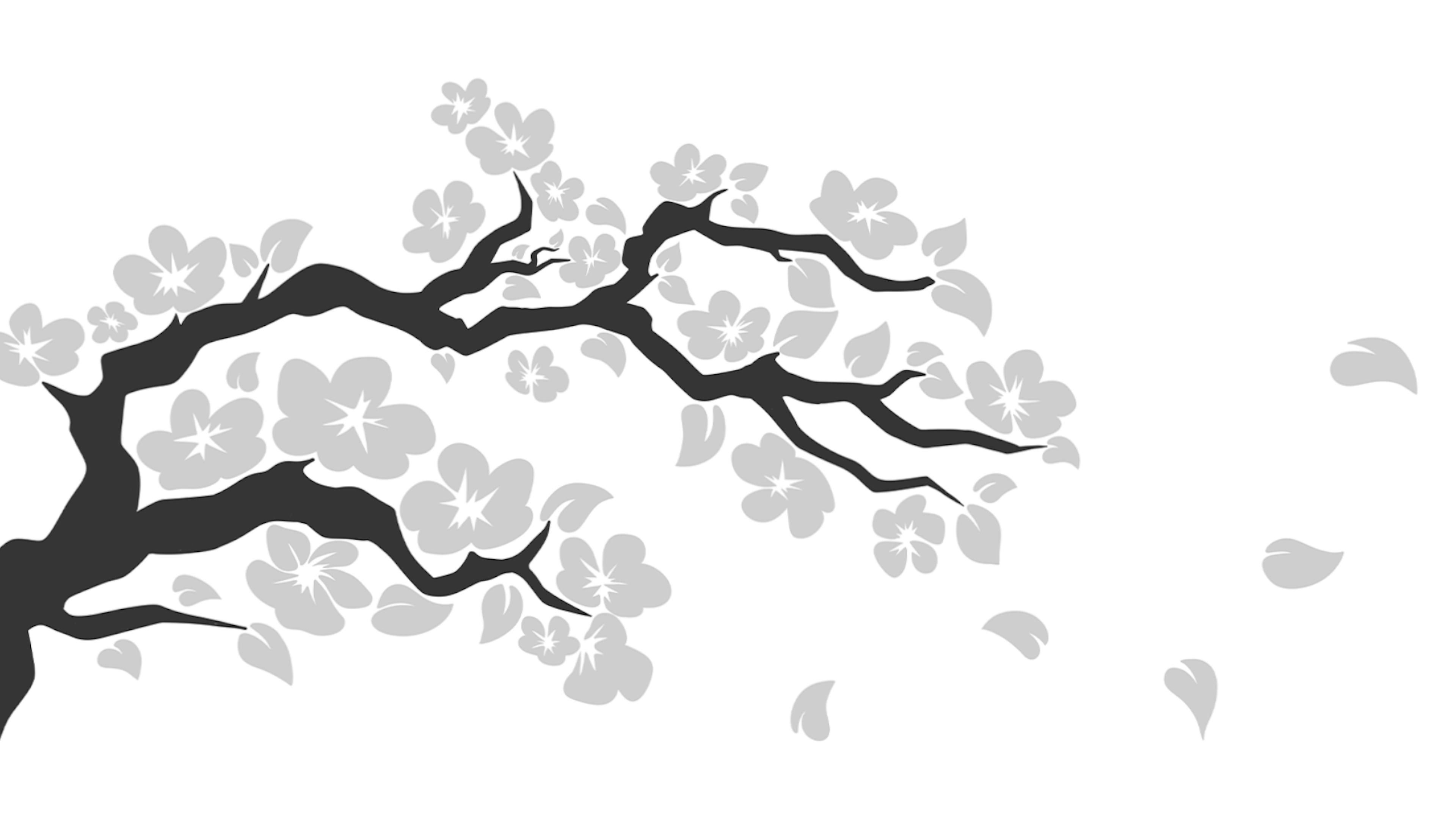3840x2160 Black And White Sakura Wallpaper