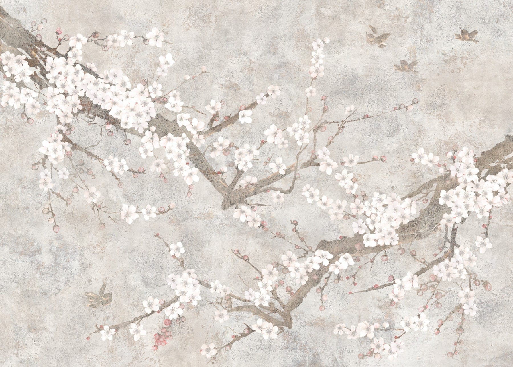 1800x1290 Sakura White Stone Wallpaper
