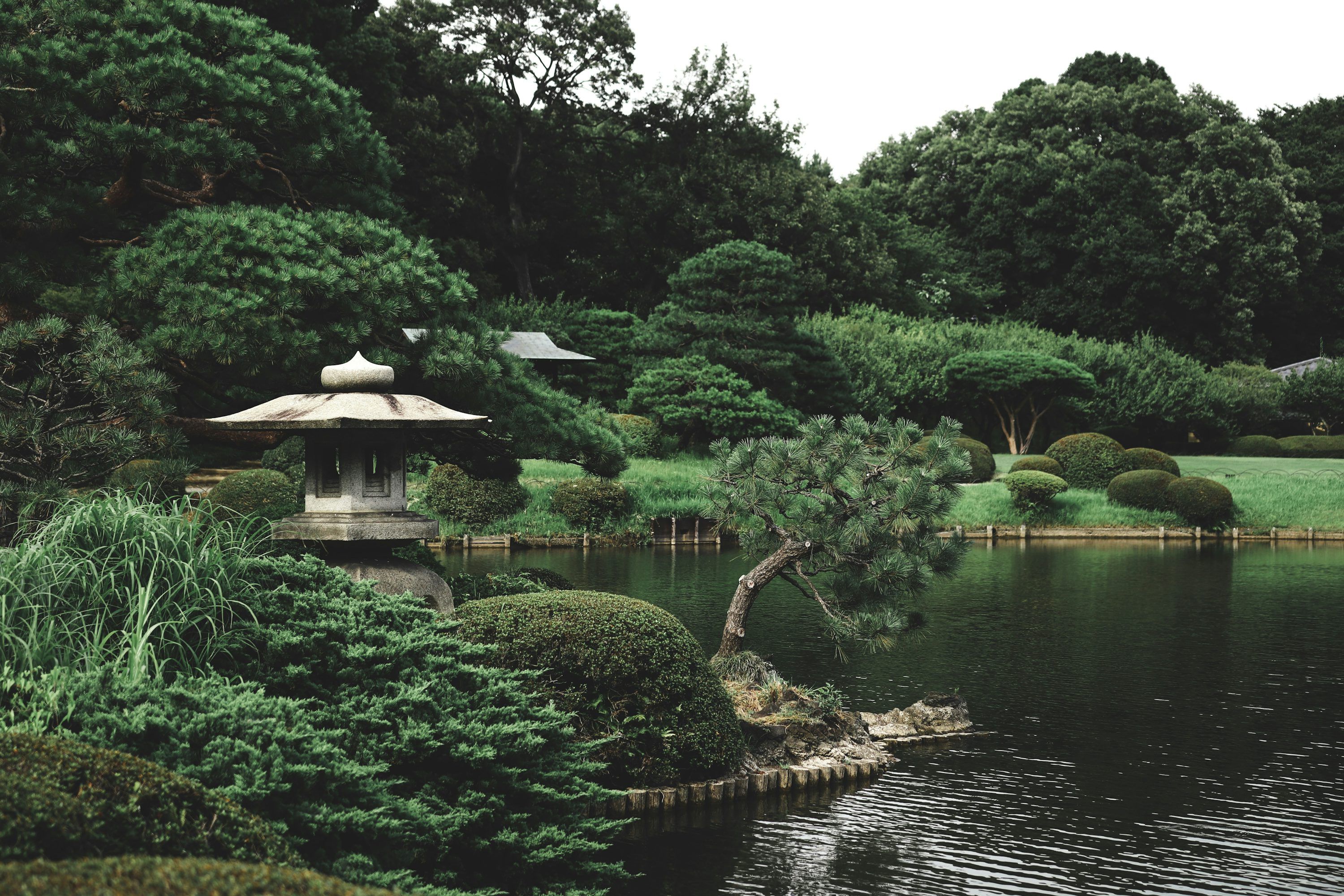 3000x2000 Japanese Garden Picture [HD]. Download Free Image