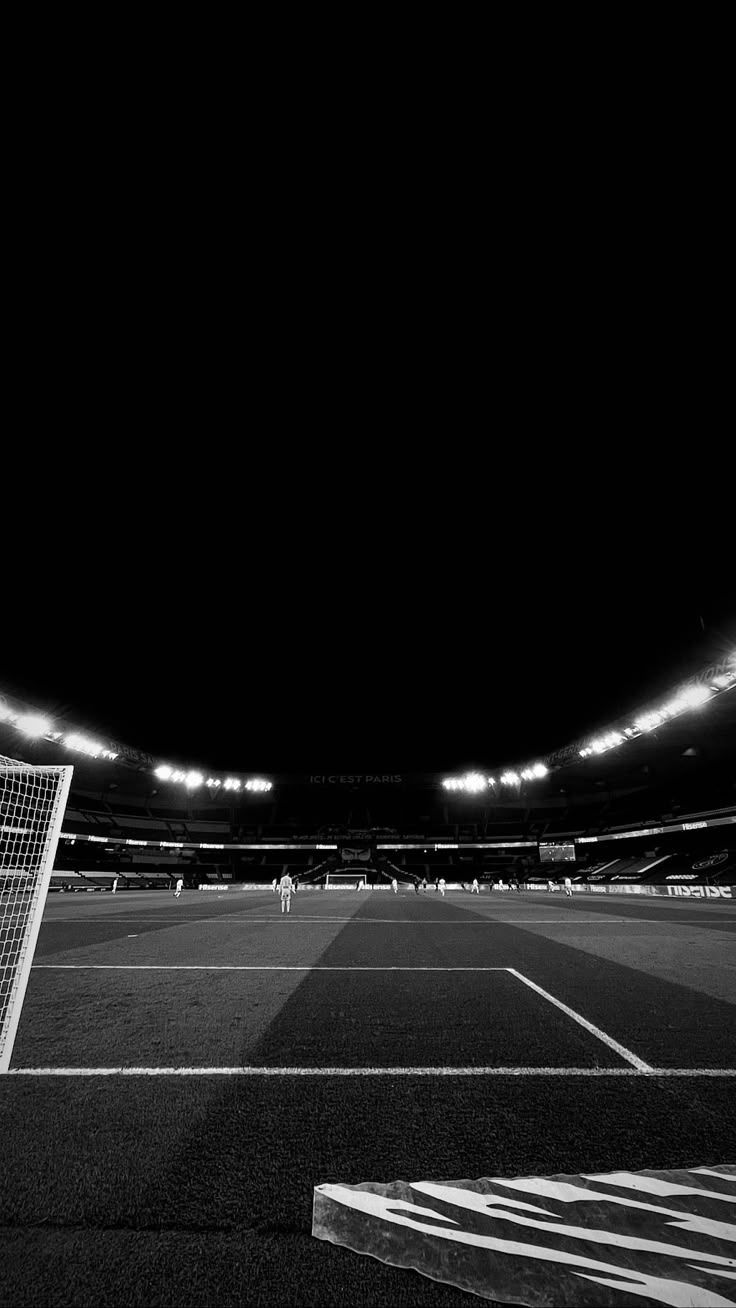 736x1308 Soccer Field