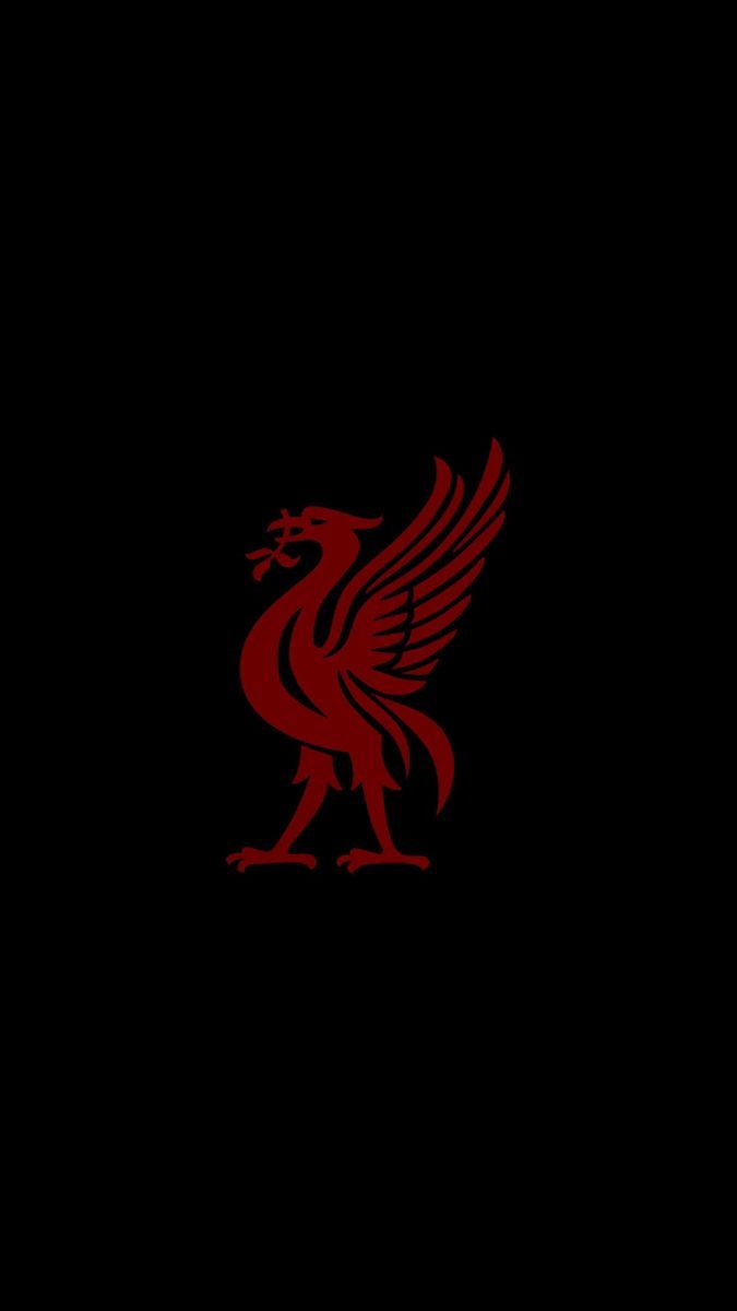 675x1200 liverbird wallpaper