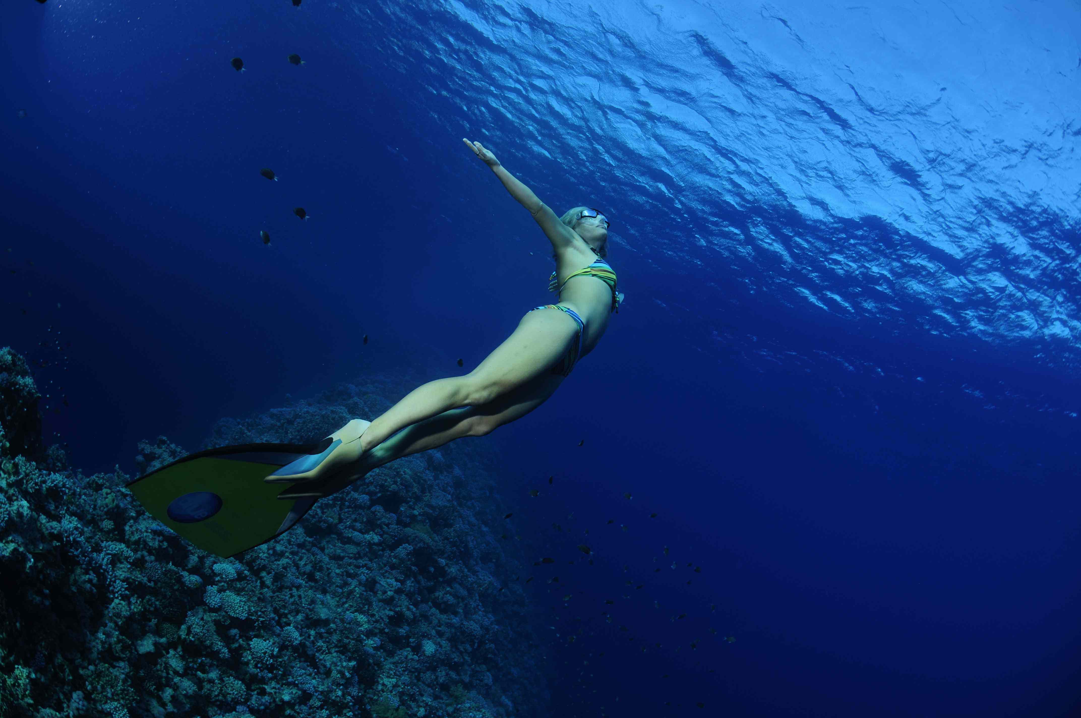 Freediving моноласта