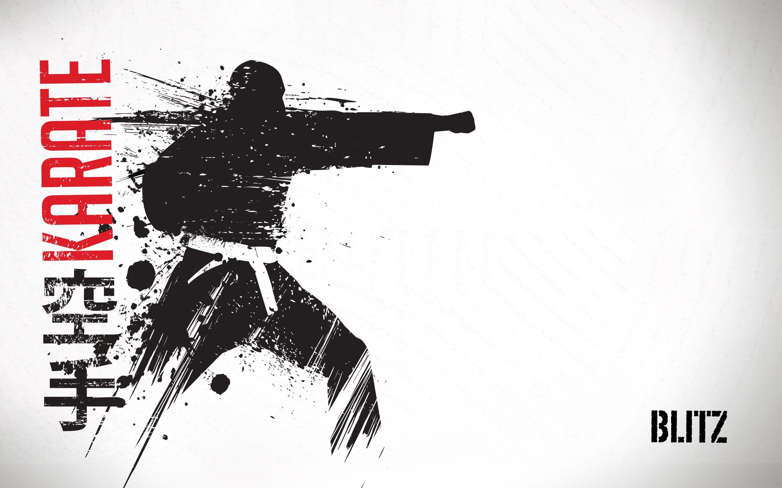 2560x1600 Karate Wallpaper
