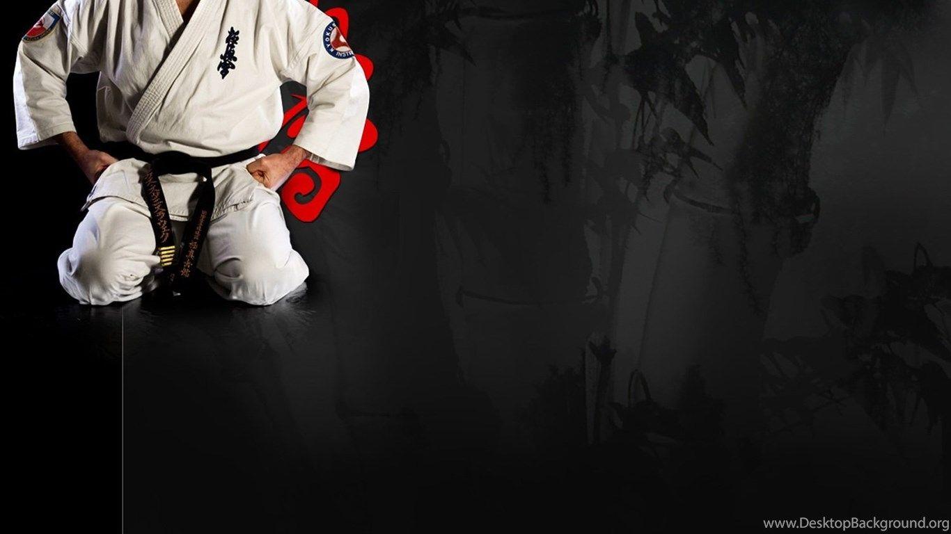 1366x768 Kyokoshin Karate Wallpaper Desktop Background