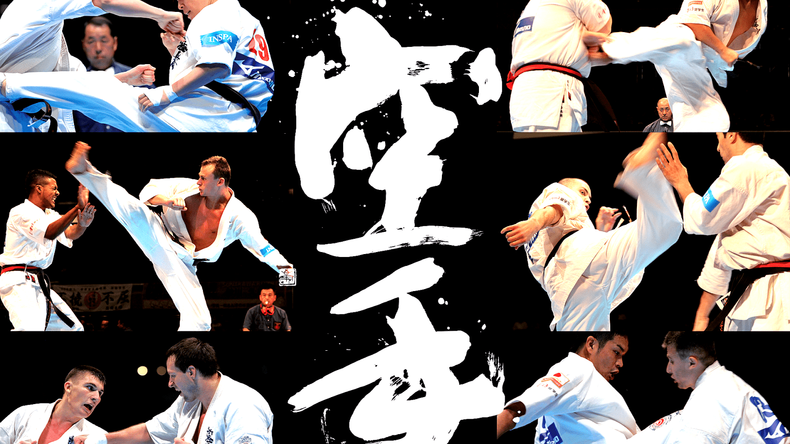 1600x900 Kyokushin Karate Techniques