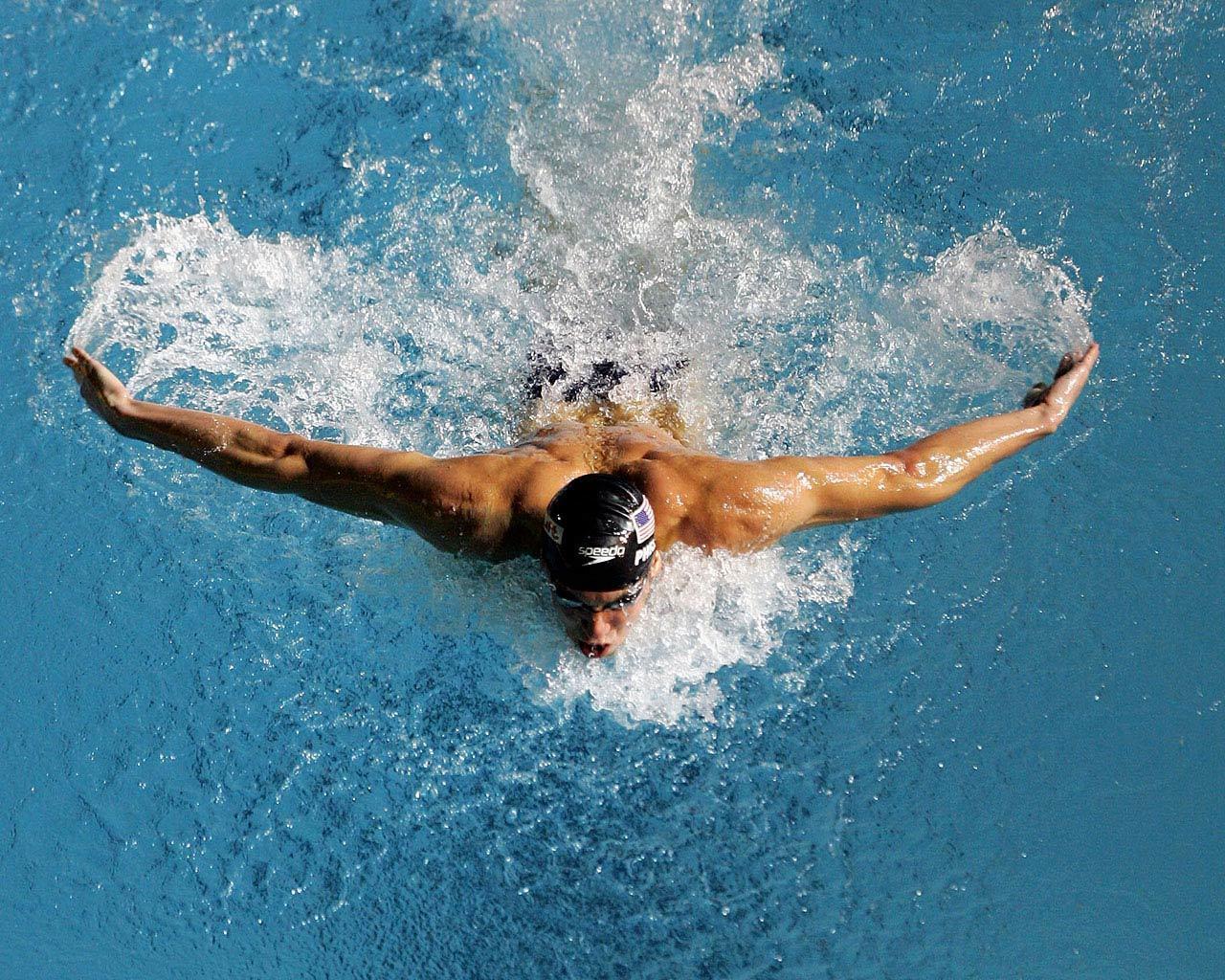 1280x1024 Free download Swimming image BUTTERFLY HD wallpaper