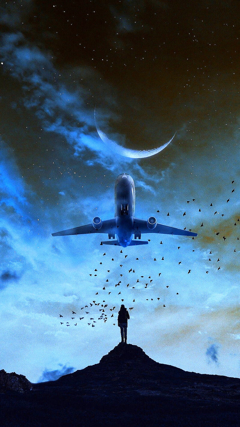 800x1422 Travel, moon, sky, airplane, birds, man, star, HD phone wallpaper