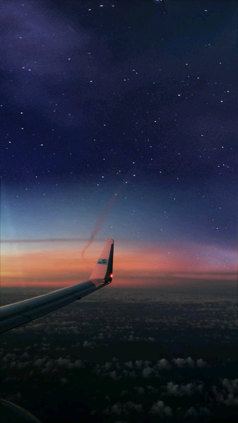 800x1422 Plane, alan walker, alan walker, distance, dusk, flight, fly, night, twilight, HD phone wallpaper