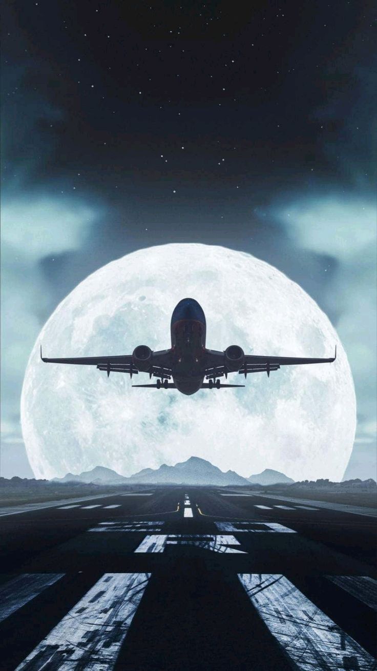 736x1308 Southwest take off