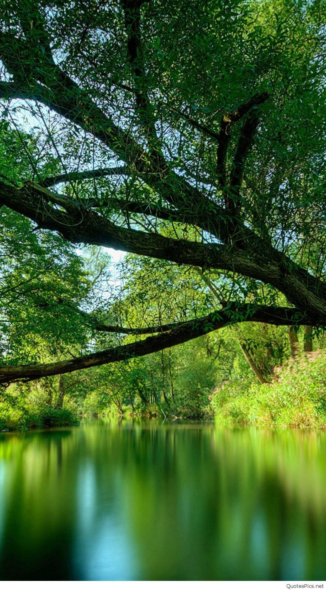 1080x1950 IPhone 6 Plus Wallpaper Nature