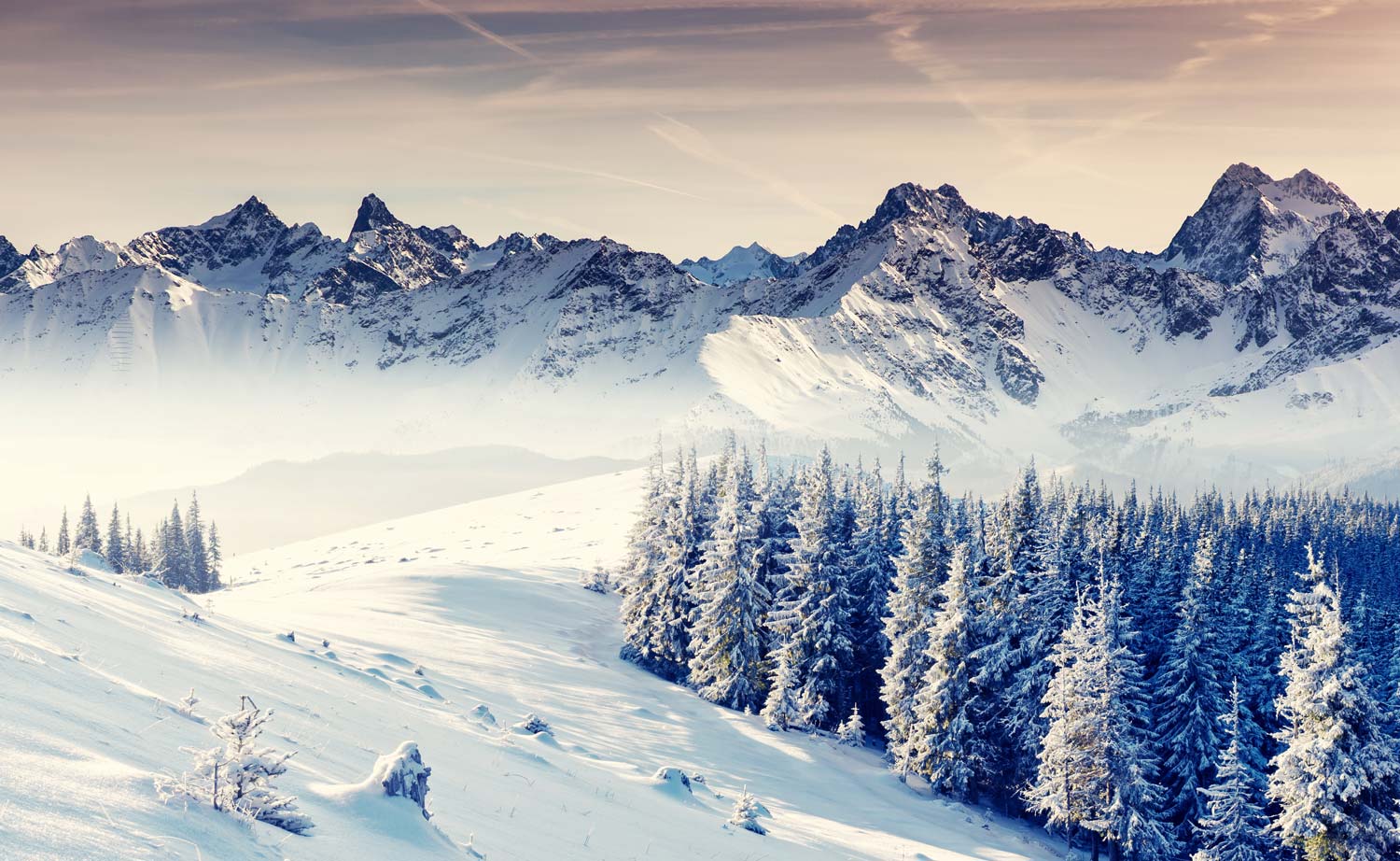 1500x922 Serene Winter Mountain Landscape Mural Wallpaper in Cool Tones, Natural Scenic Design