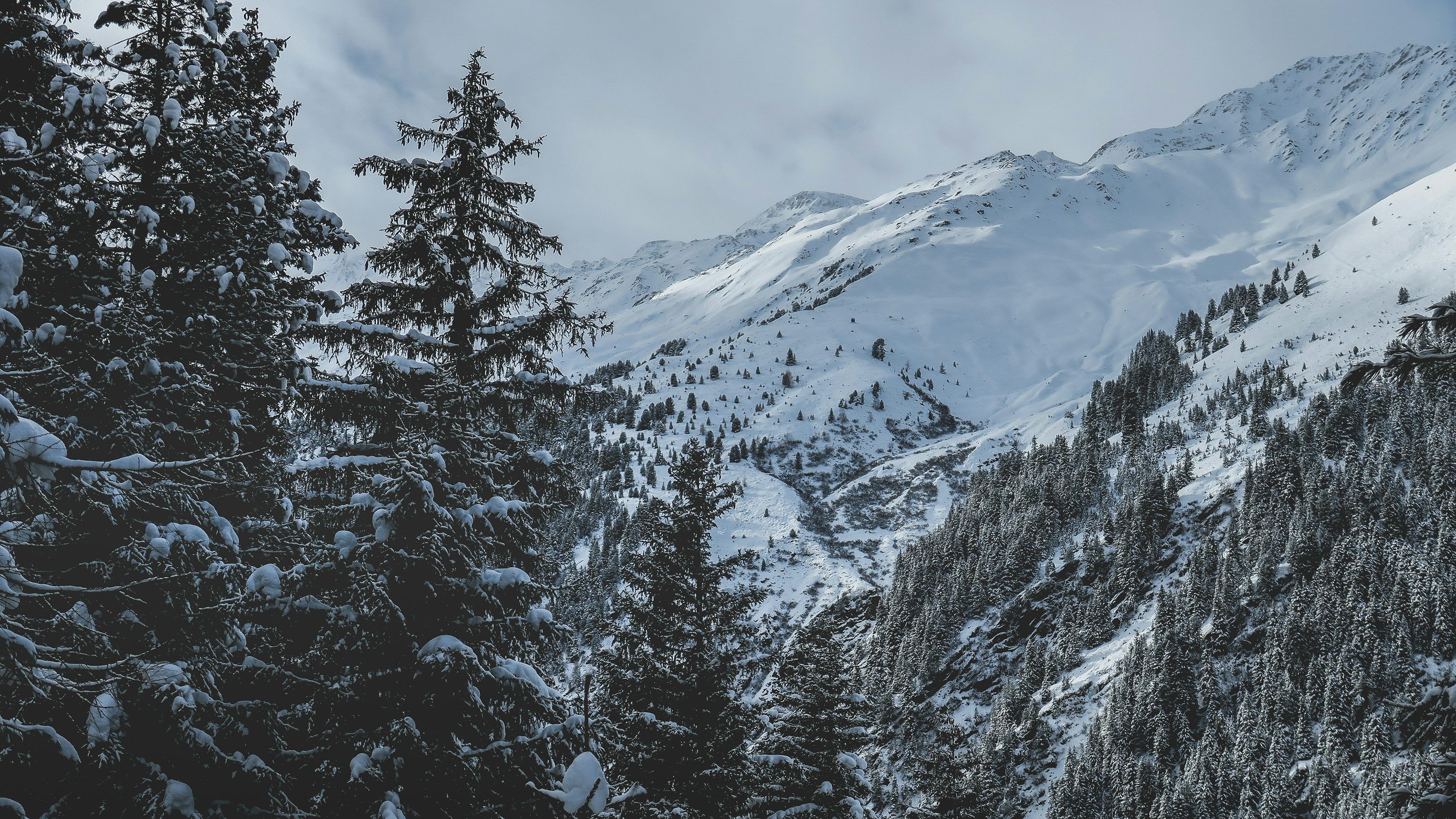 3000x1688 4k Snow Mountains Wallpaper